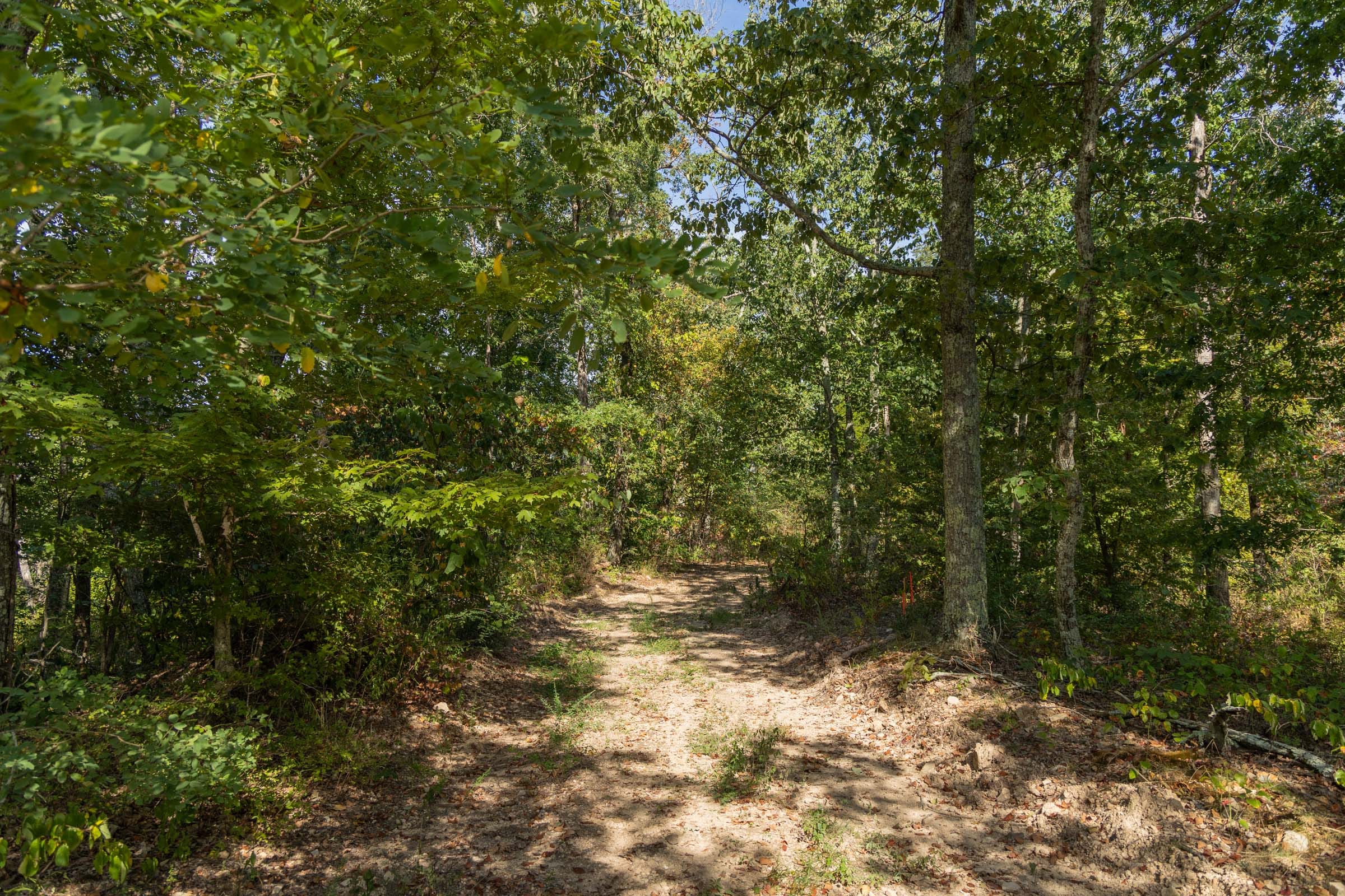 Big White Oak Tract 130 photo 4