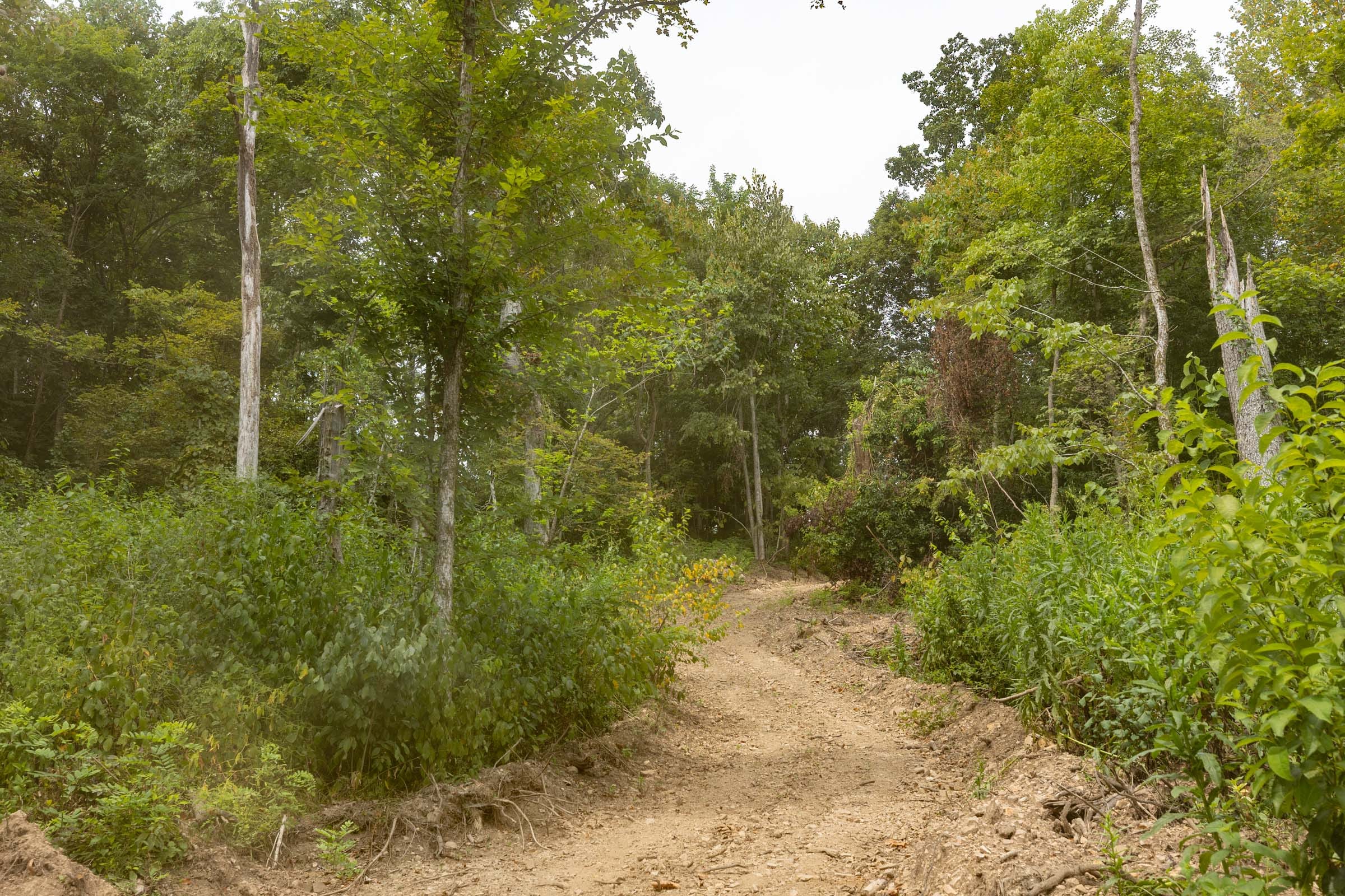 Big White Oak Tract 130 photo 1