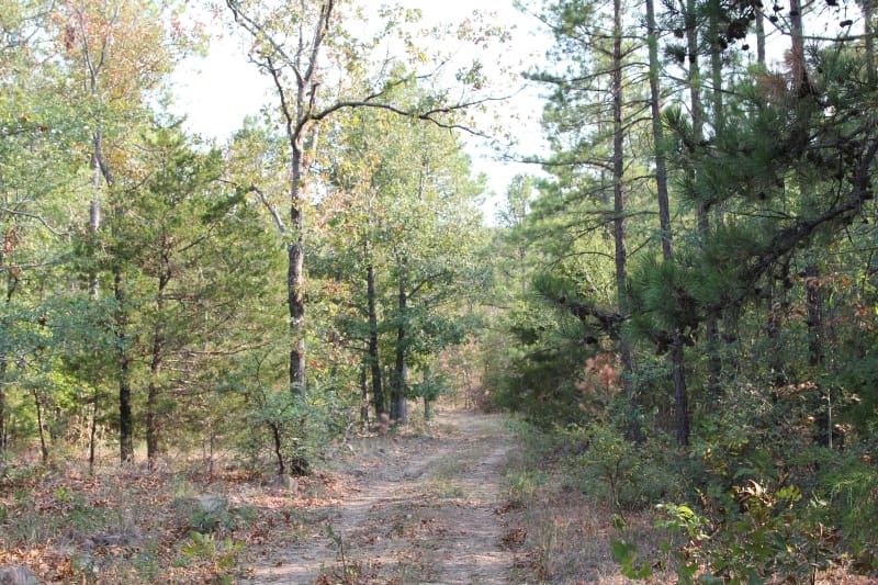 Lake View Ranch Tract 25 photo 1