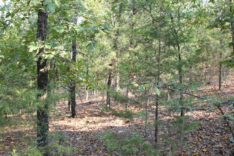 Lake View Ranch Tract 25 photo 2