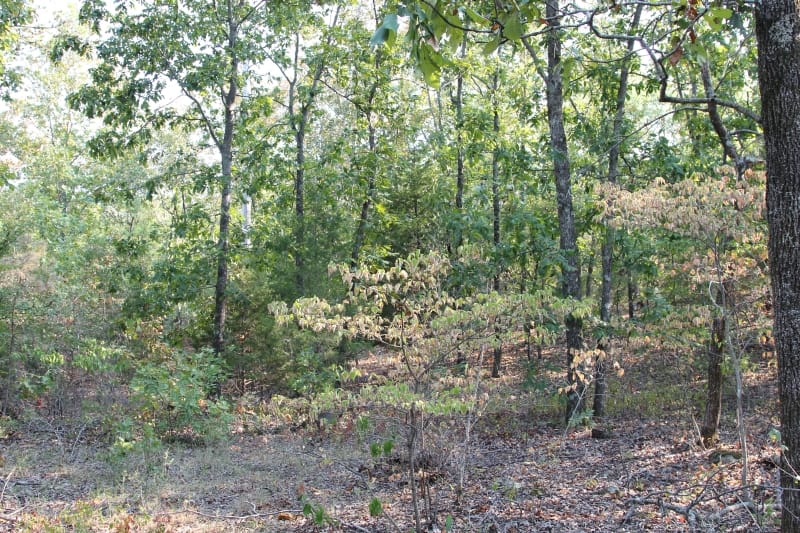 Lake View Ranch Tract 25 photo 4