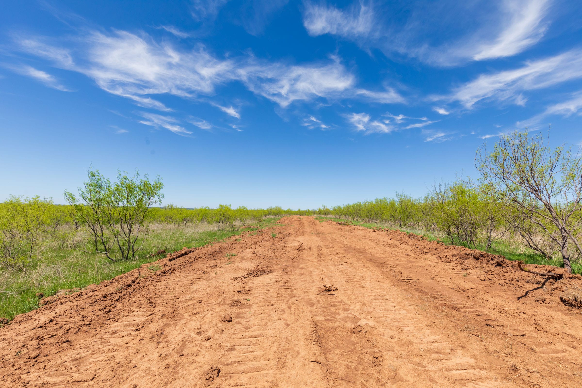 Hackberry Fields Tract 2 photo 2