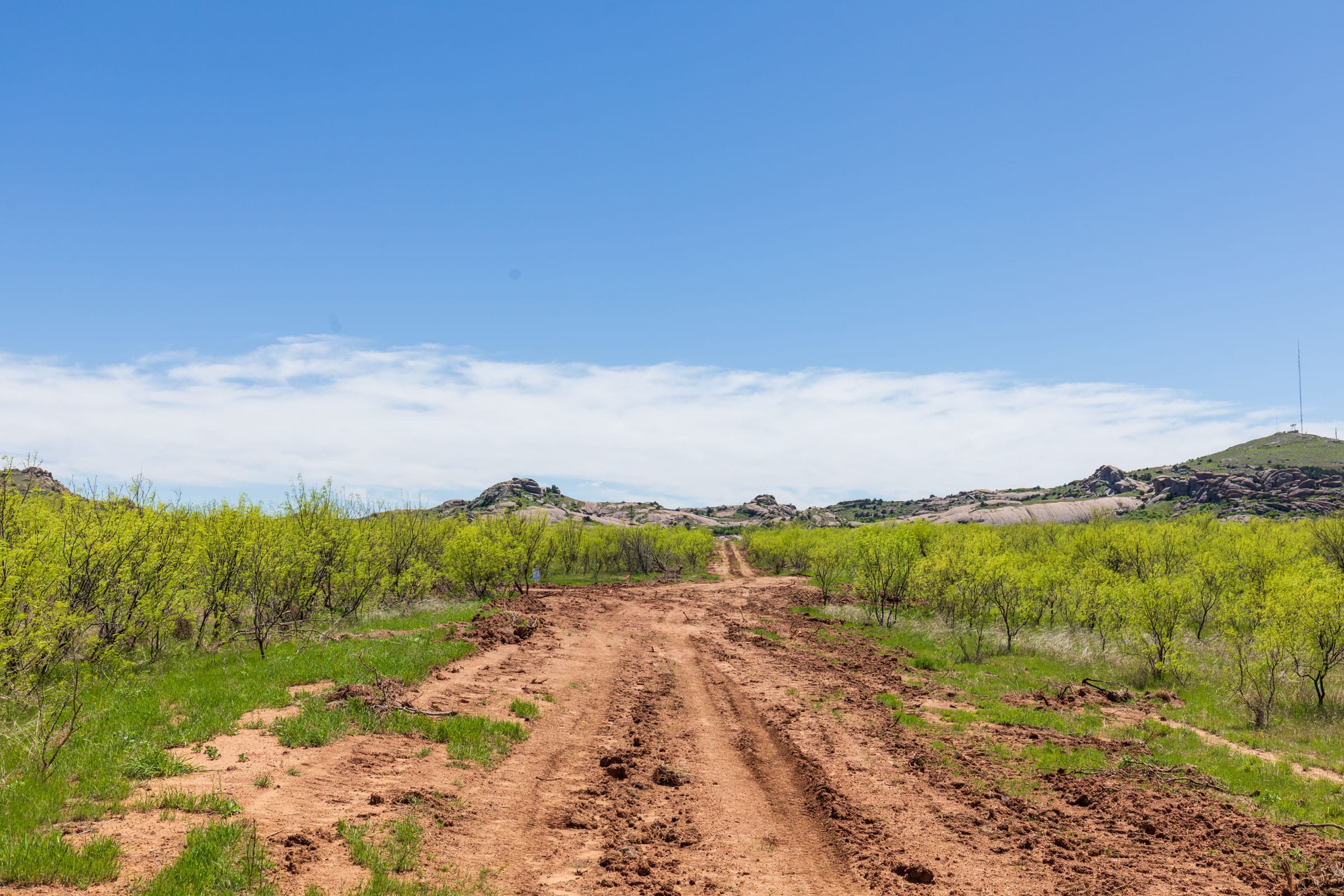 Hackberry Fields Tract 2 photo 9