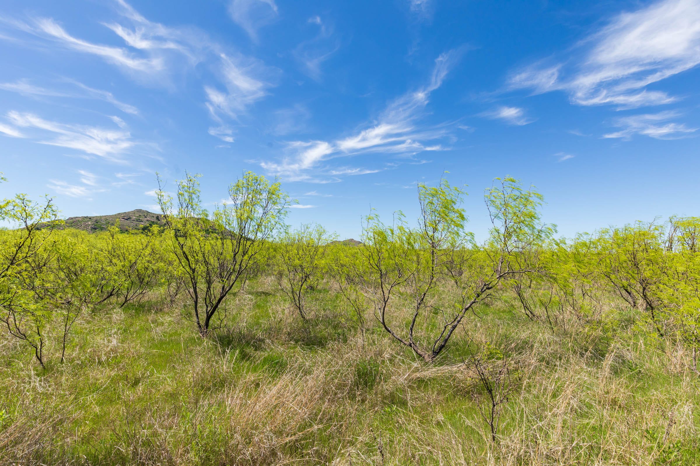 Hackberry Fields Tract 2 photo 3