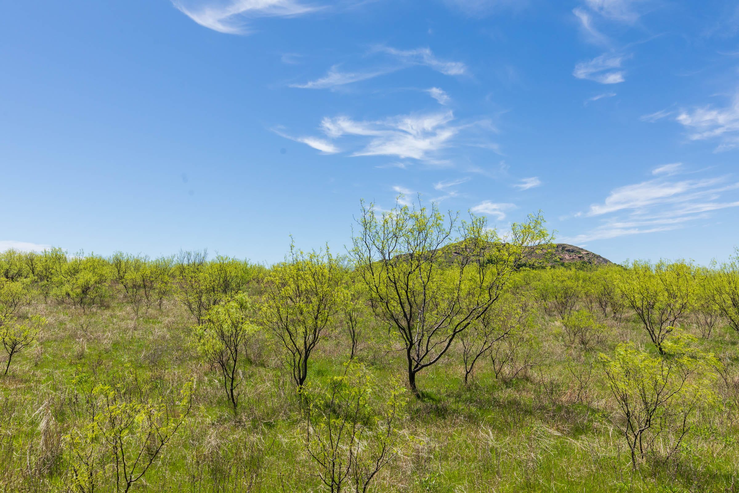 Hackberry Fields Tract 2 photo 6
