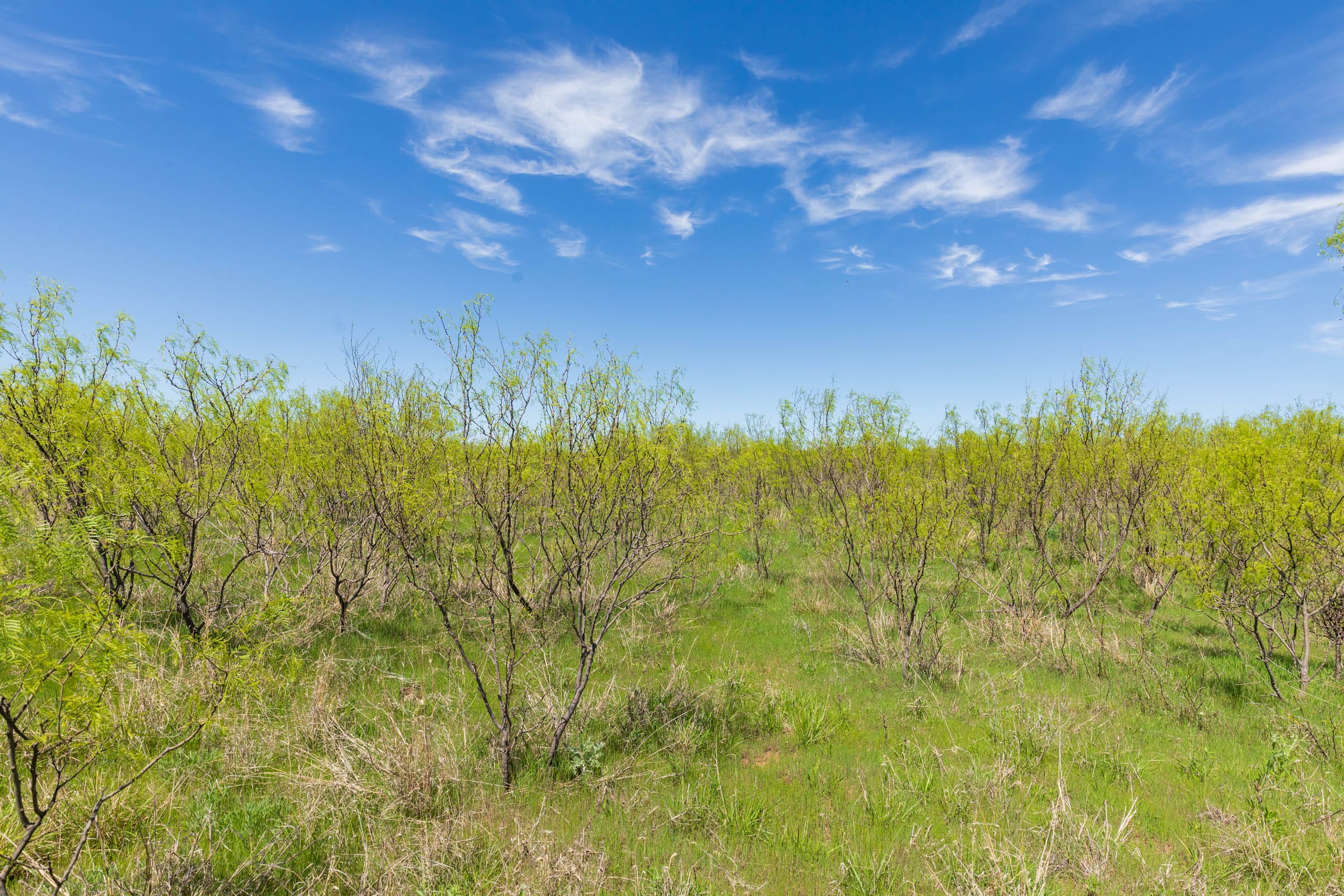Hackberry Fields Tract 2 photo 8