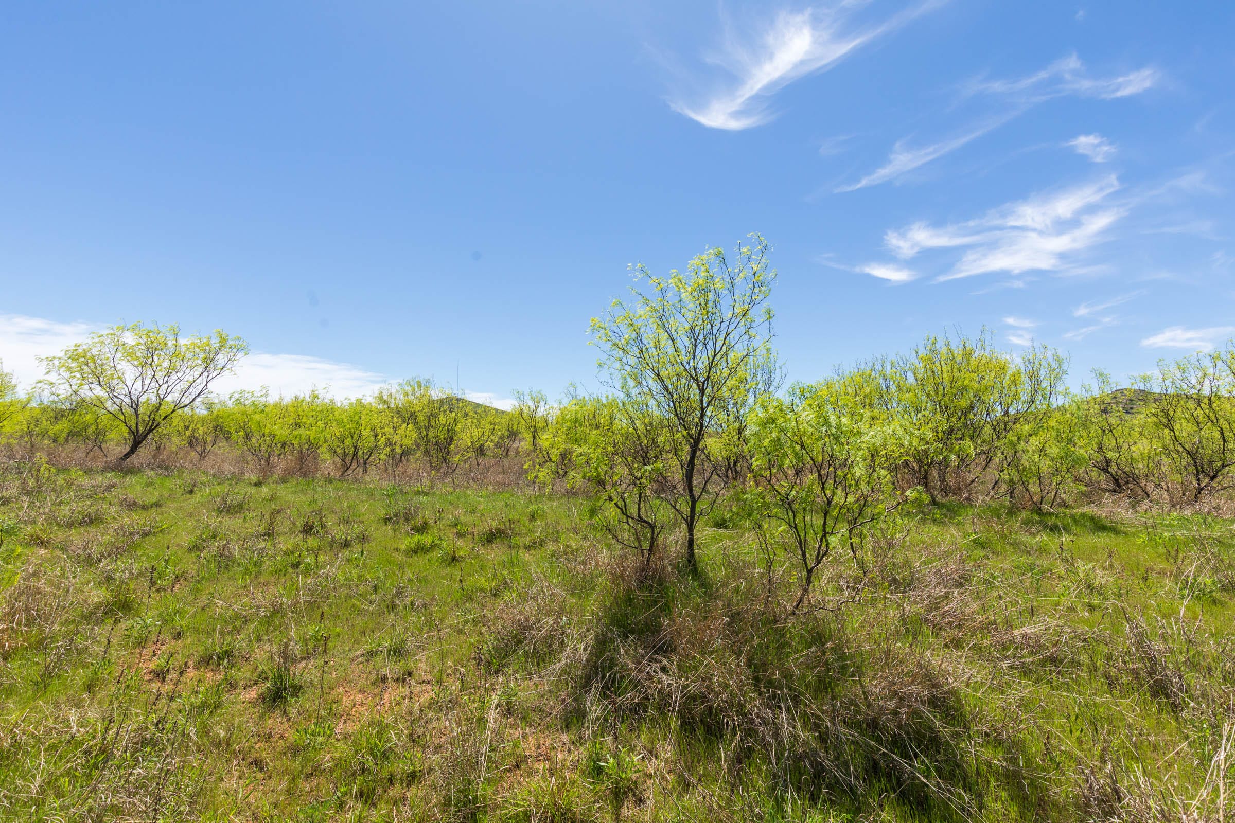 Hackberry Fields Tract 2 photo 11