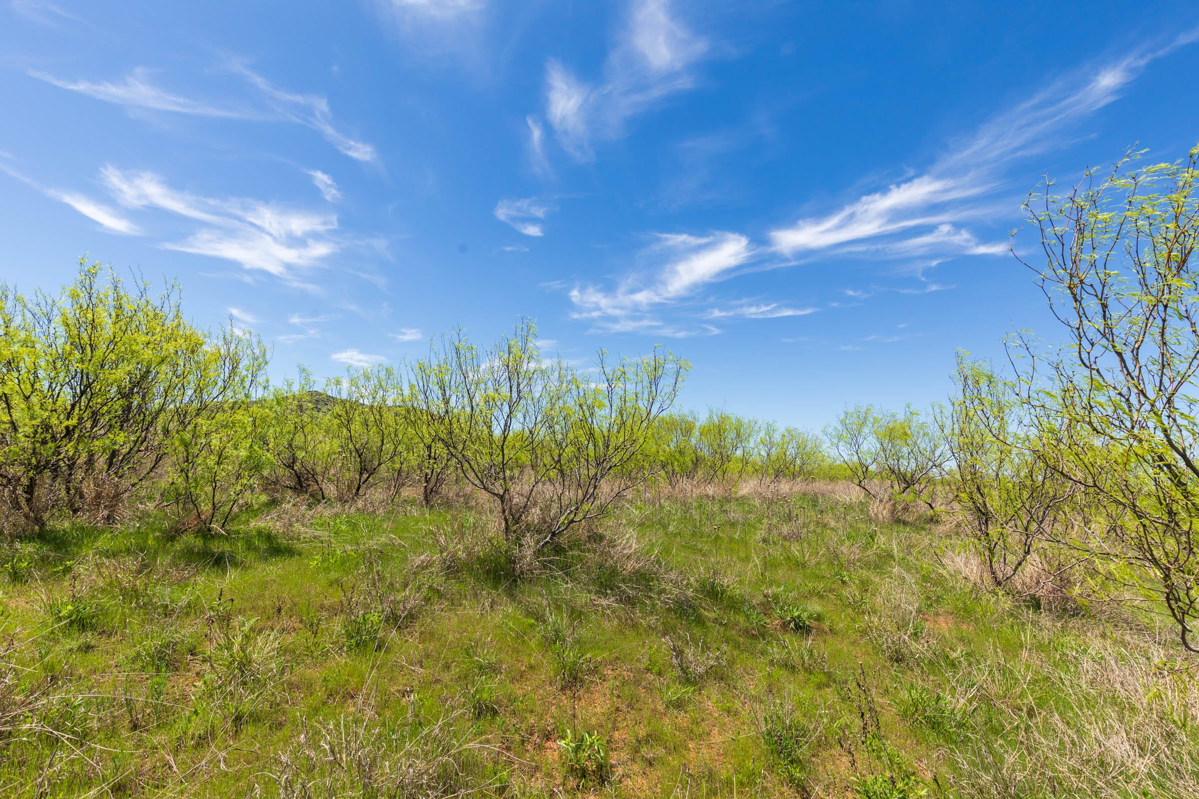 Hackberry Fields Tract 2 photo 12