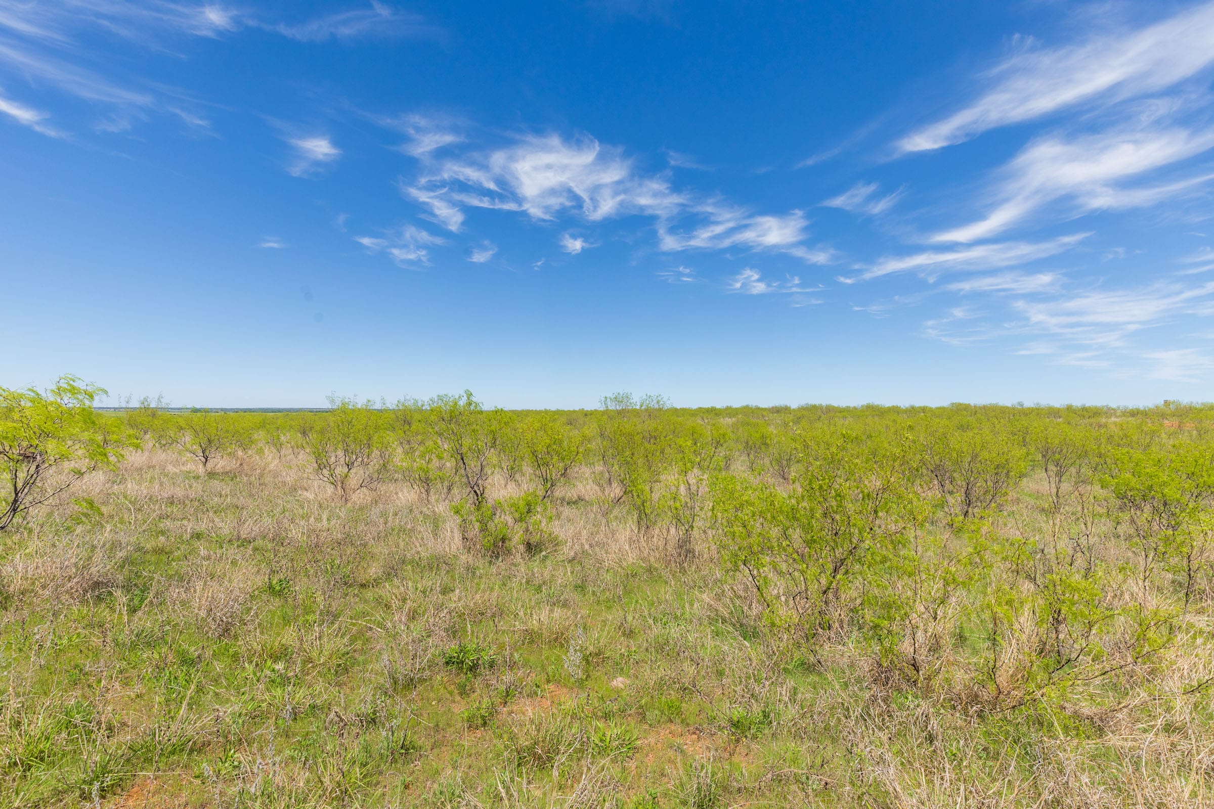 Hackberry Fields Tract 2 photo 13