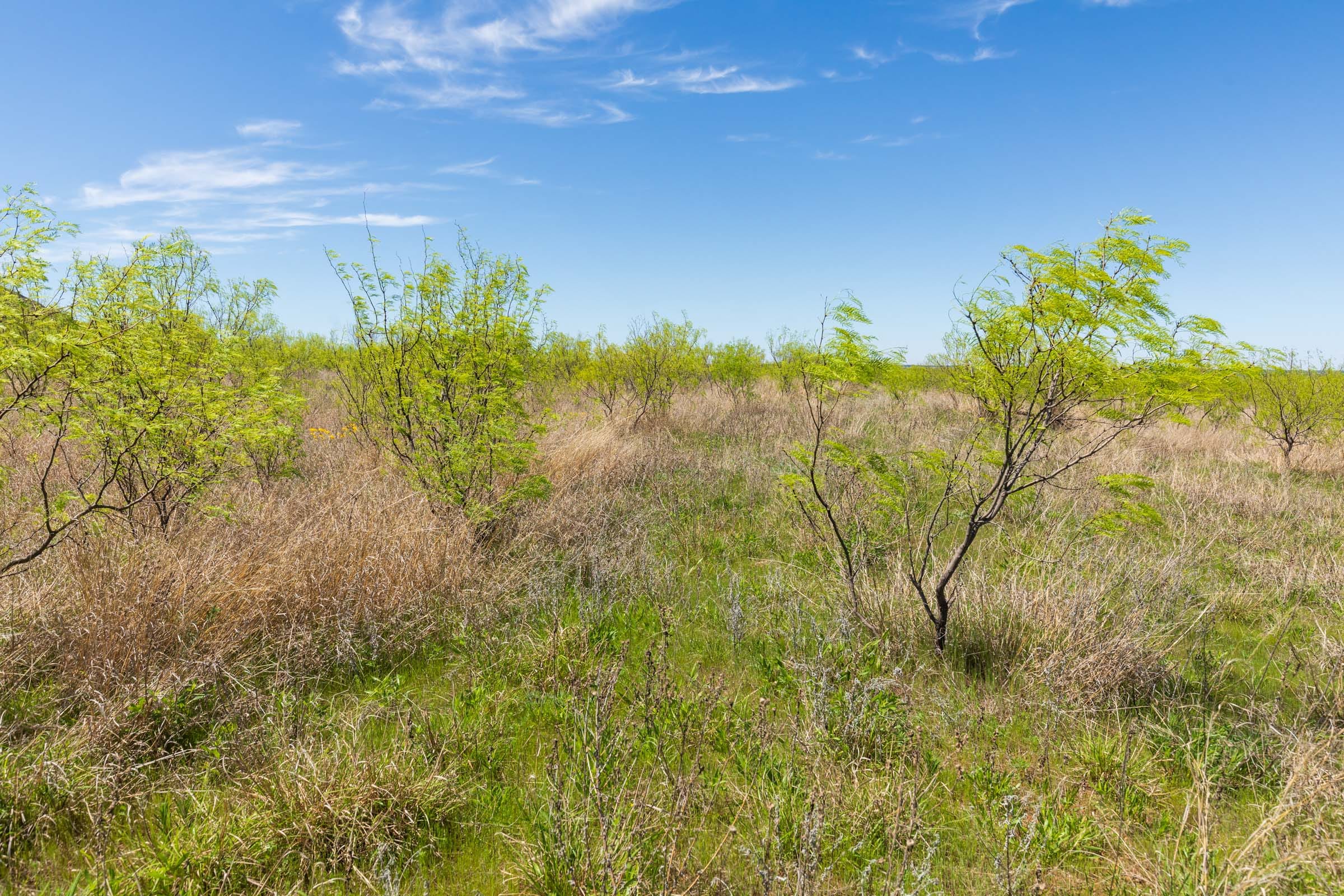 Hackberry Fields Tract 2 photo 14