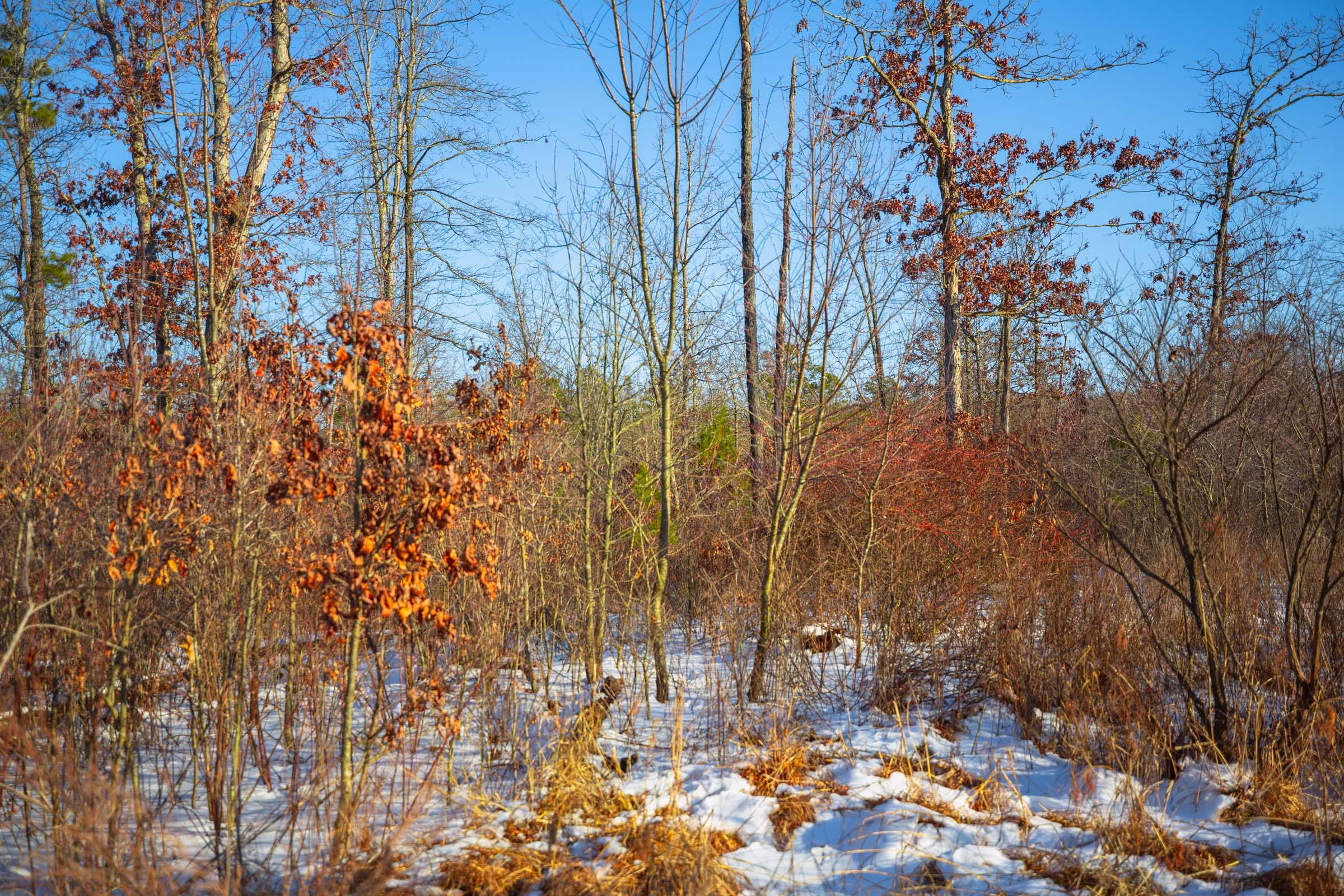 Sleepy Hollow Phase I Tract 35 photo 18