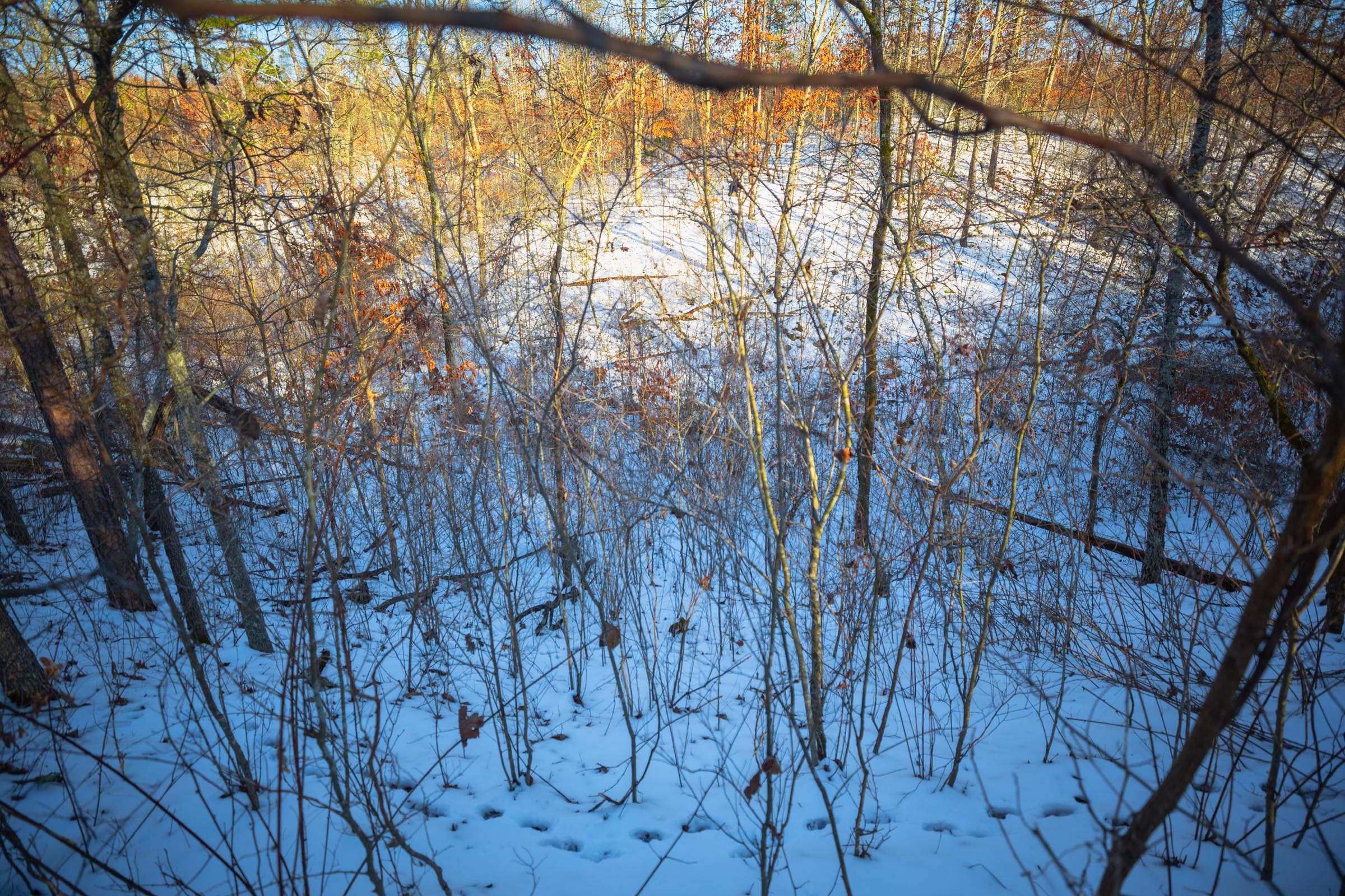 Sleepy Hollow Phase I Tract 35 photo 16