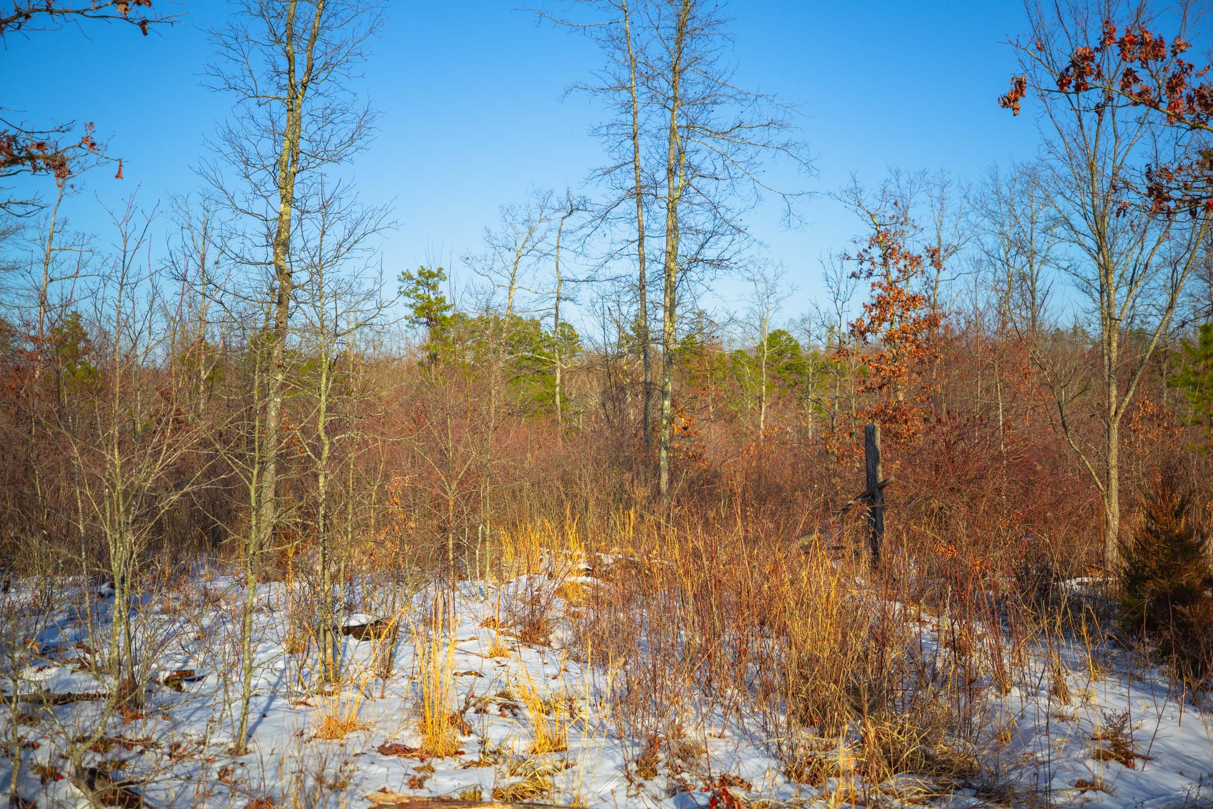 Sleepy Hollow Phase I Tract 35 photo 7