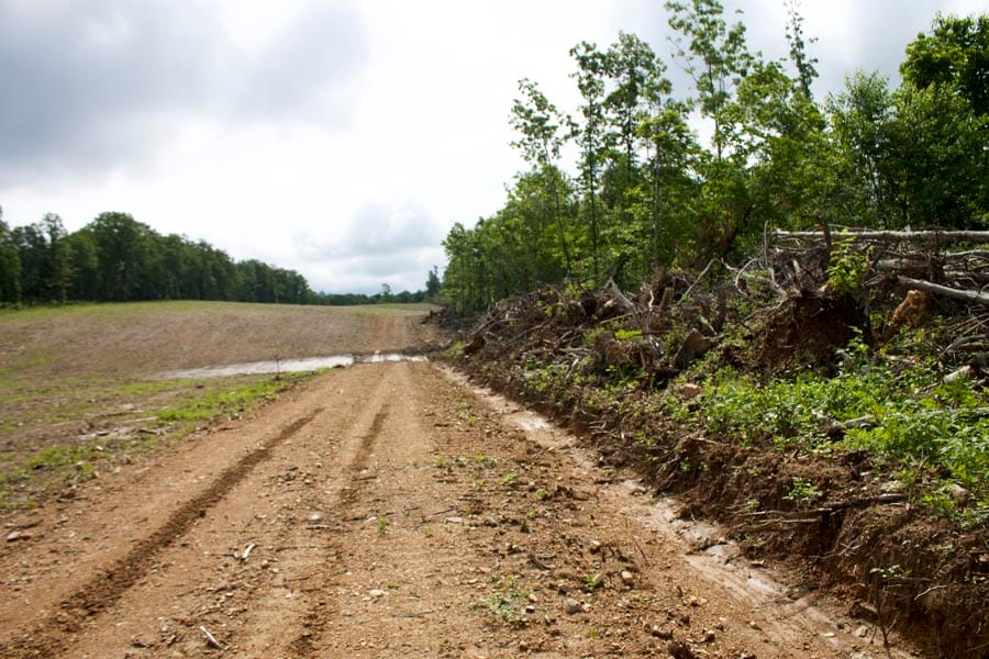 Thunder Mountain Ranch Tract 20 photo 2