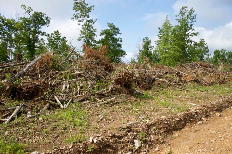 Thunder Mountain Ranch Tract 20 photo 3