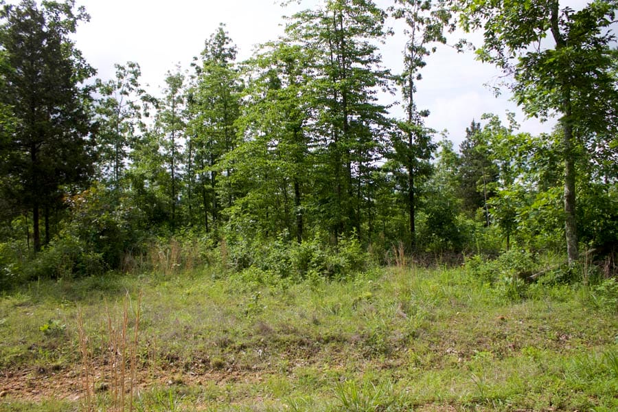 Thunder Mountain Ranch Tract 20 photo 4