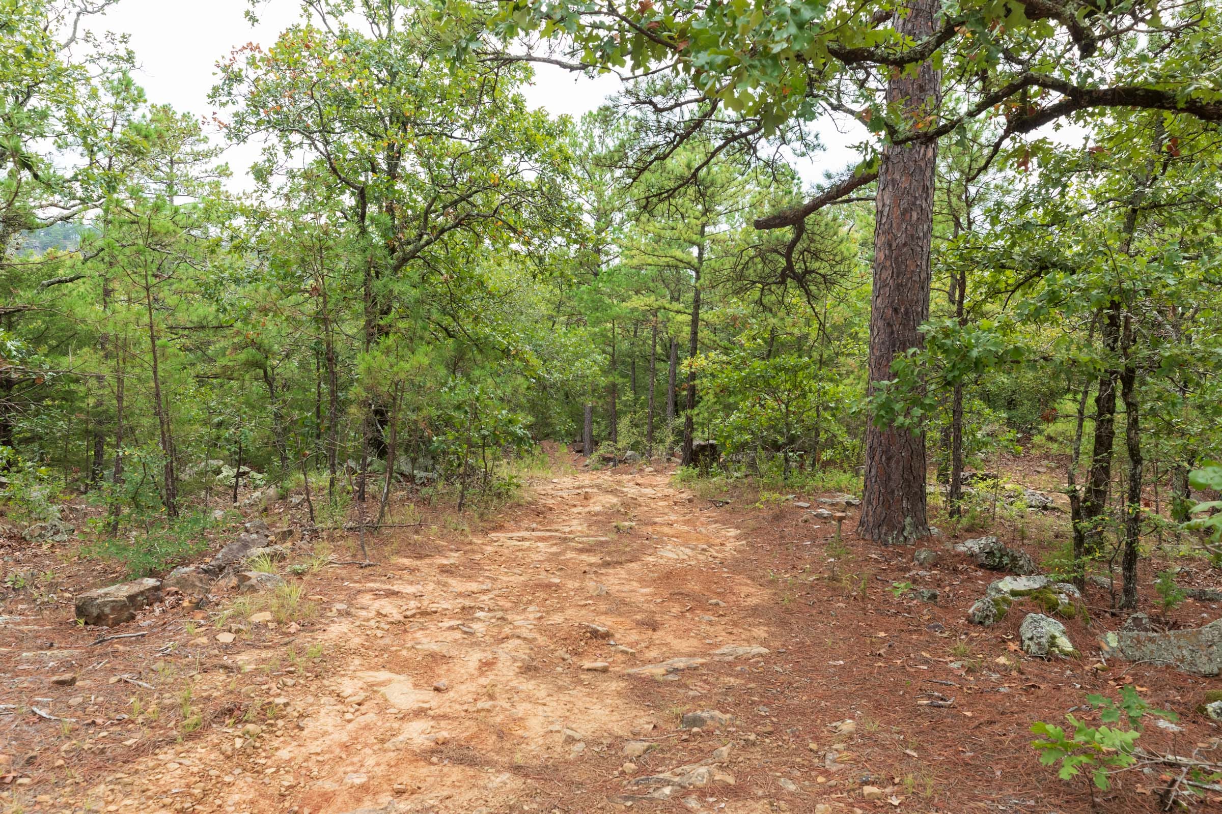 Stone Bridge Phase V Tract 415 photo 1
