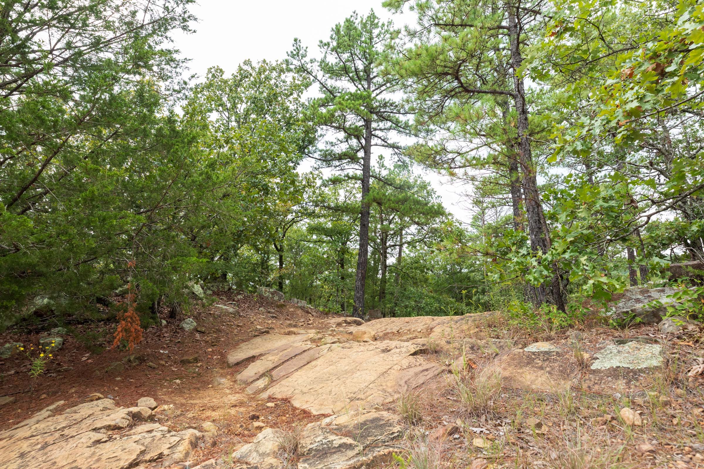 Stone Bridge Phase V Tract 415 photo 8