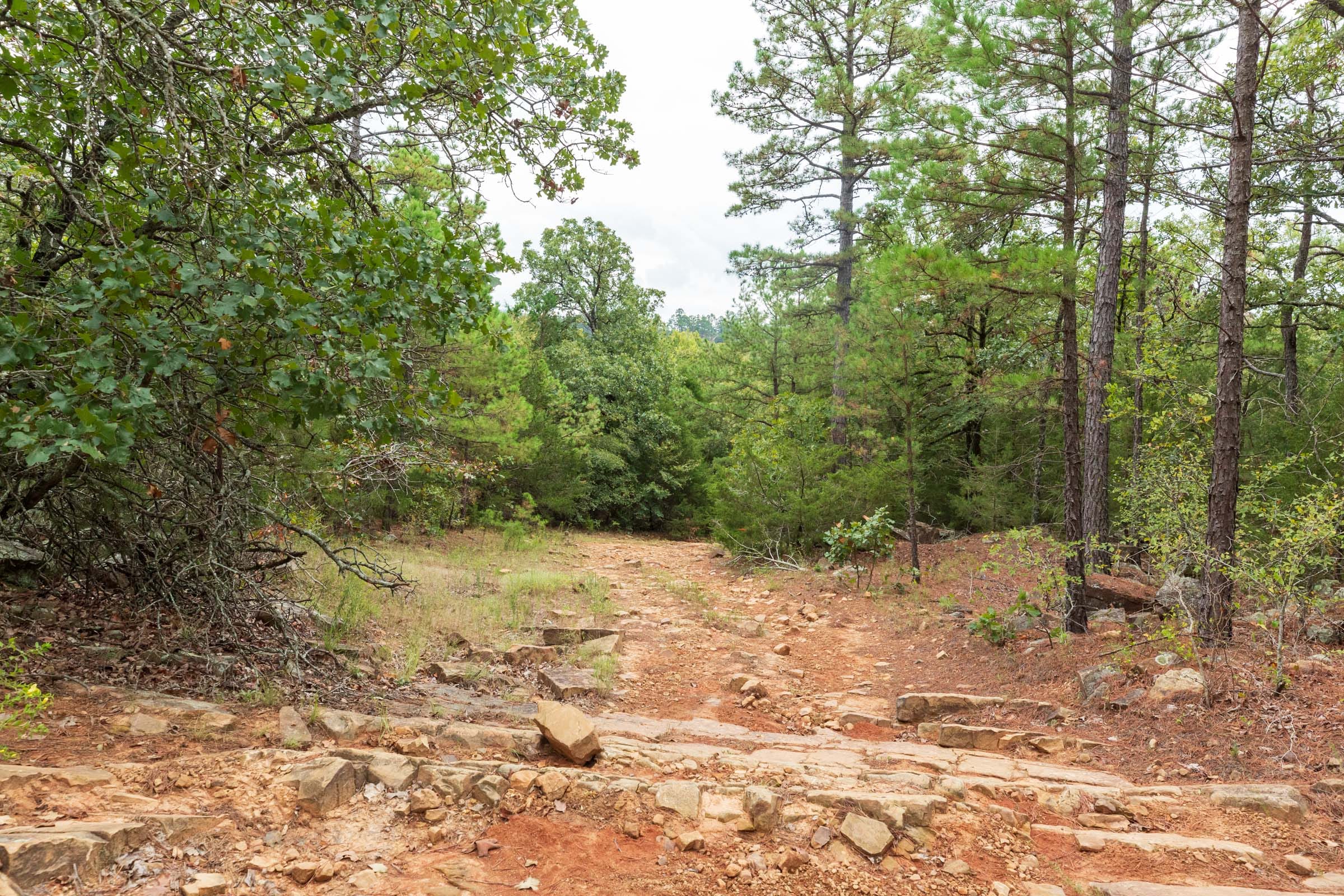 Stone Bridge Phase V Tract 415 photo 10
