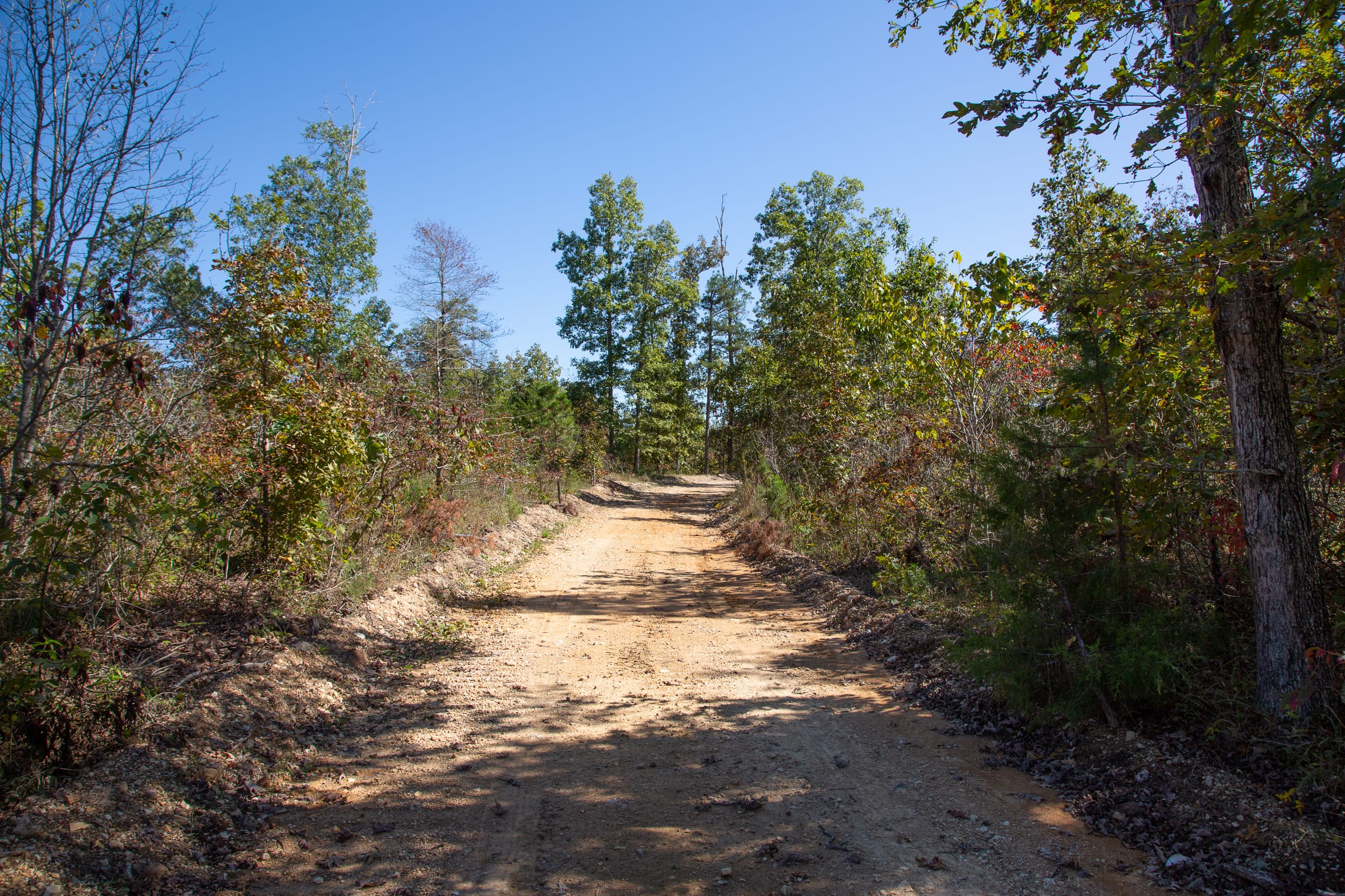Borgmann’s Hollow Phase III Tract 101 photo 1