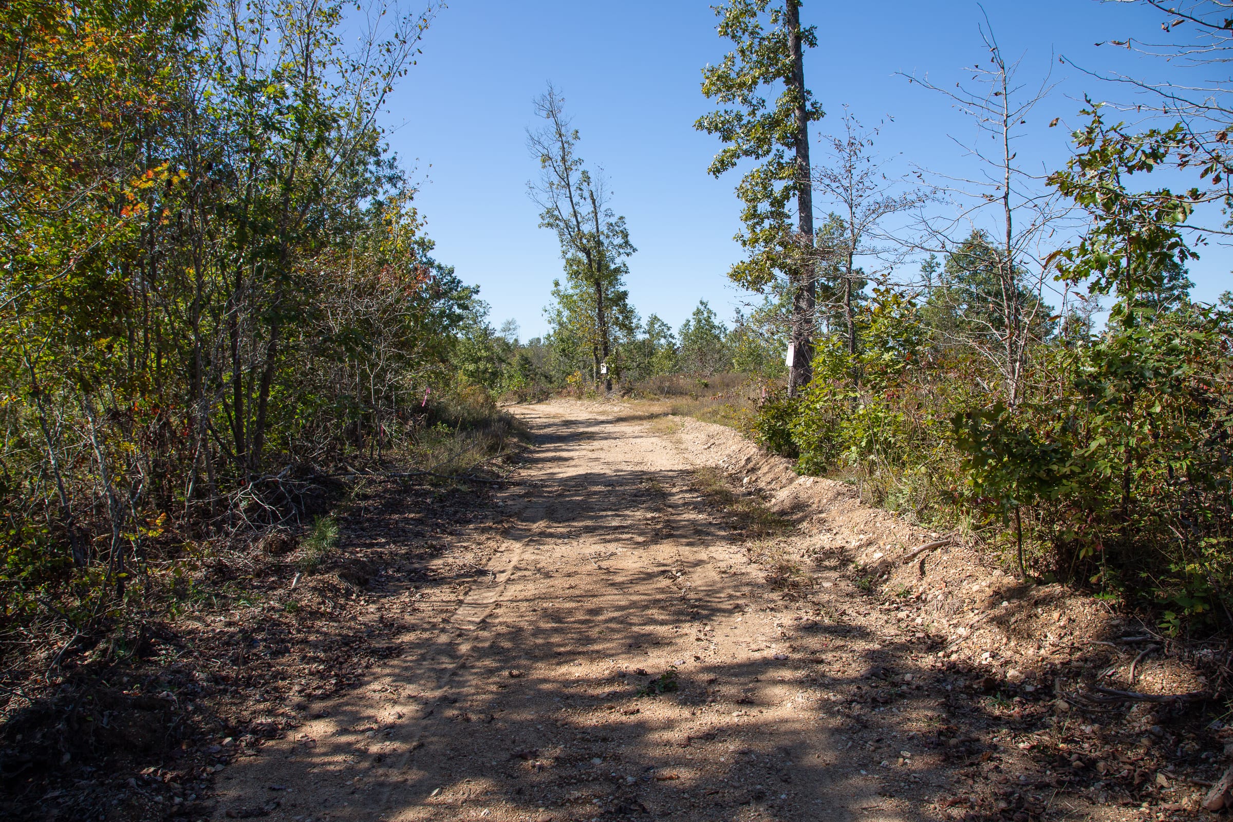 Borgmann’s Hollow Phase III Tract 101 photo 5