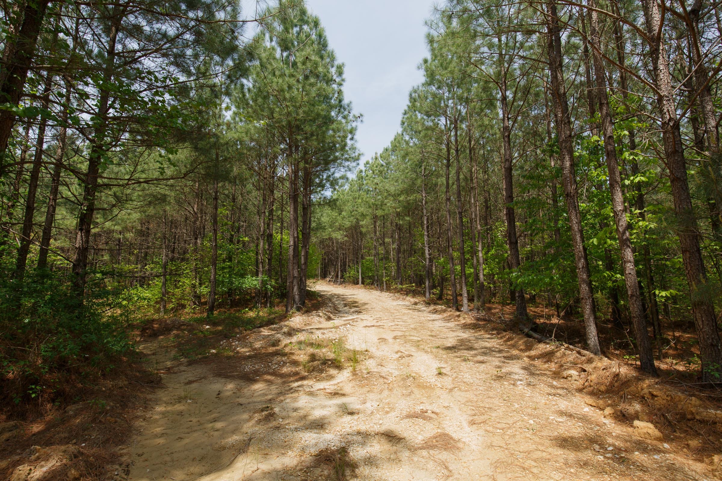 Red Barn Ranch Tract 61 photo 1