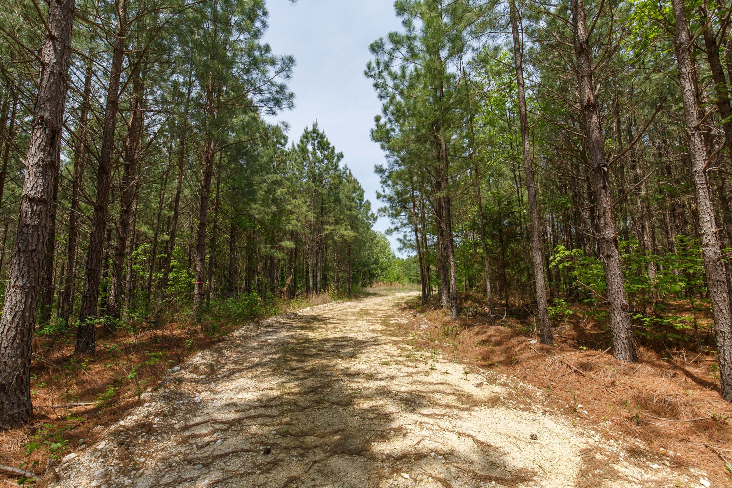 Red Barn Ranch Tract 61 photo 4
