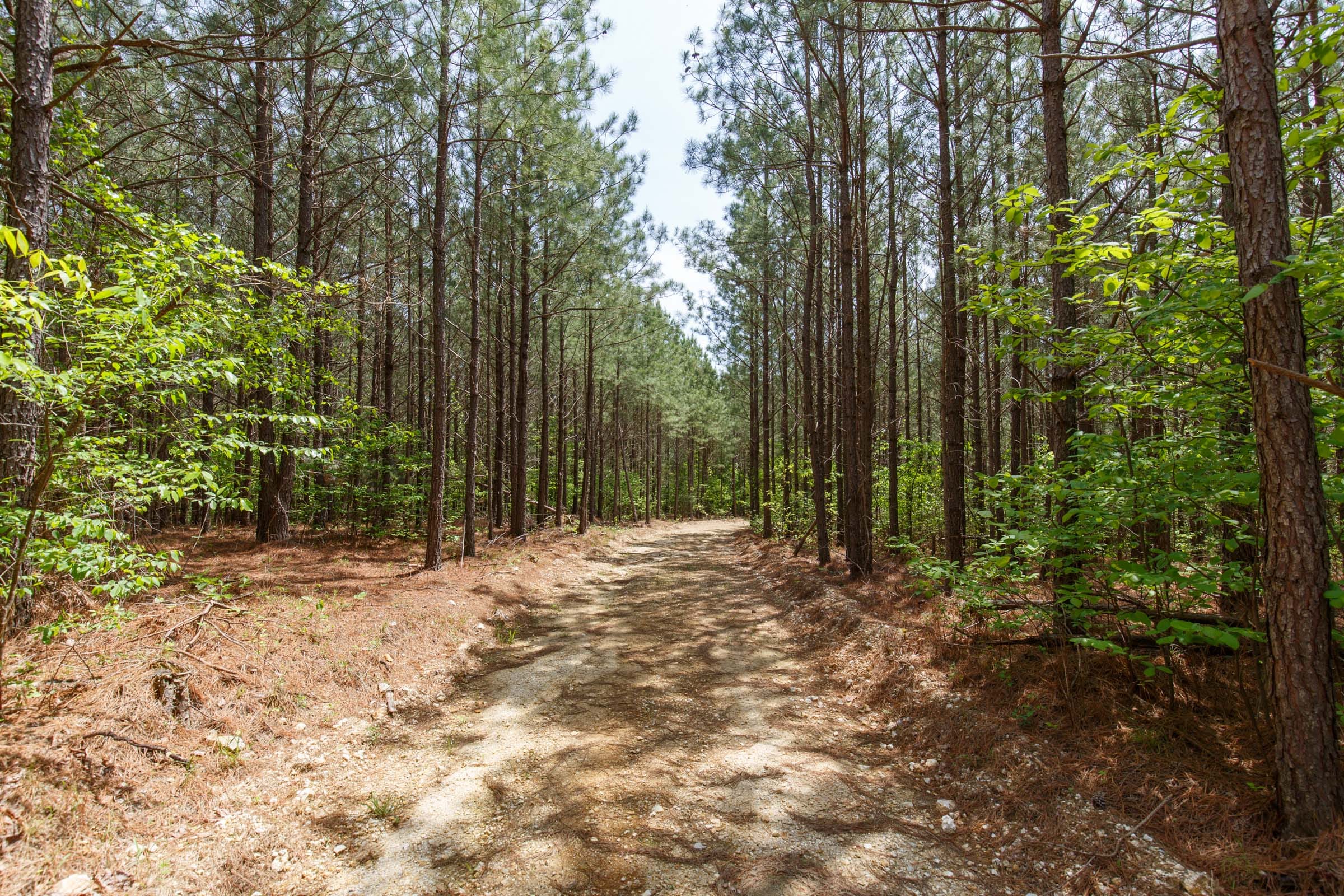 Red Barn Ranch Tract 61 photo 7