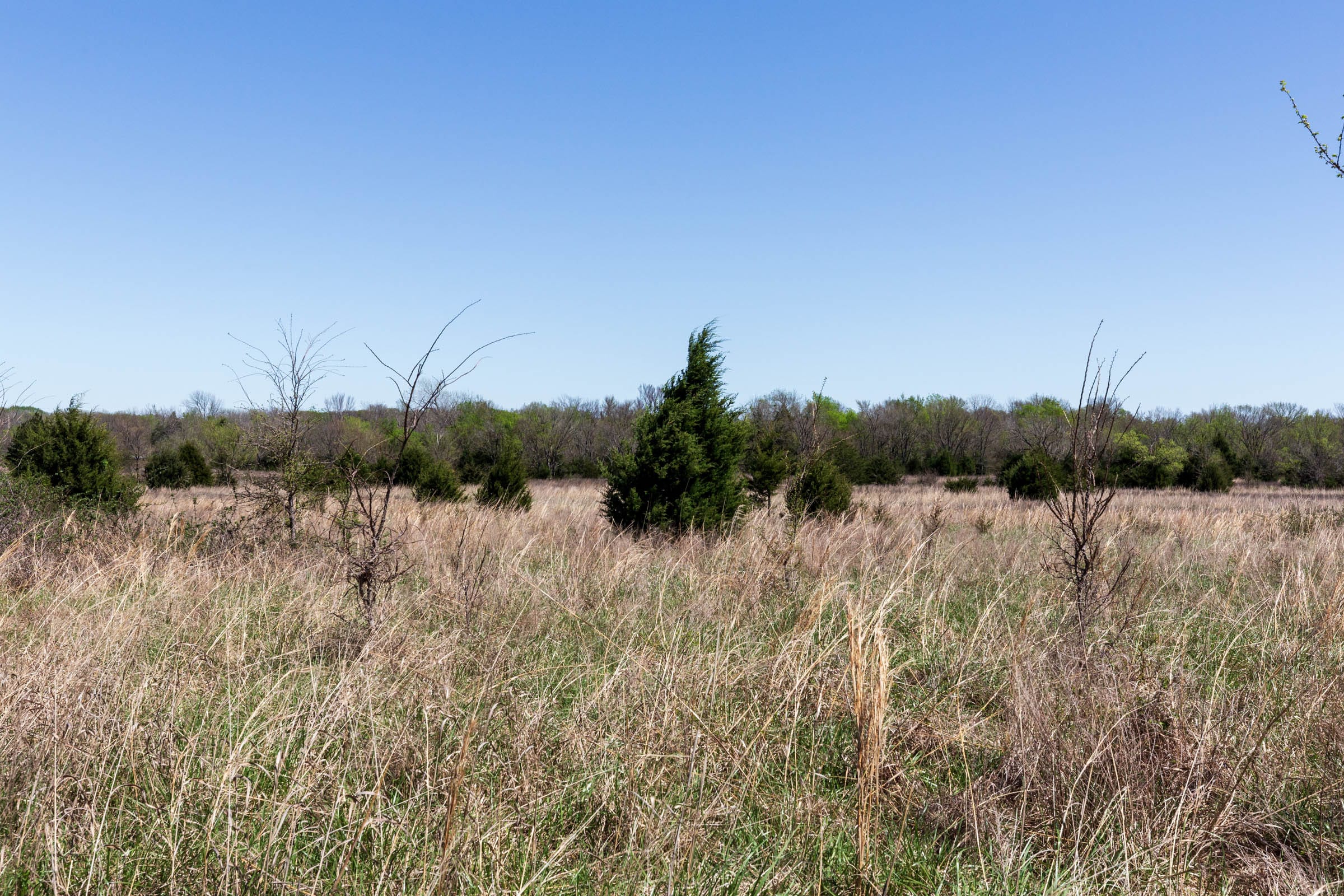 Prairie Grove Tract 25 photo 4