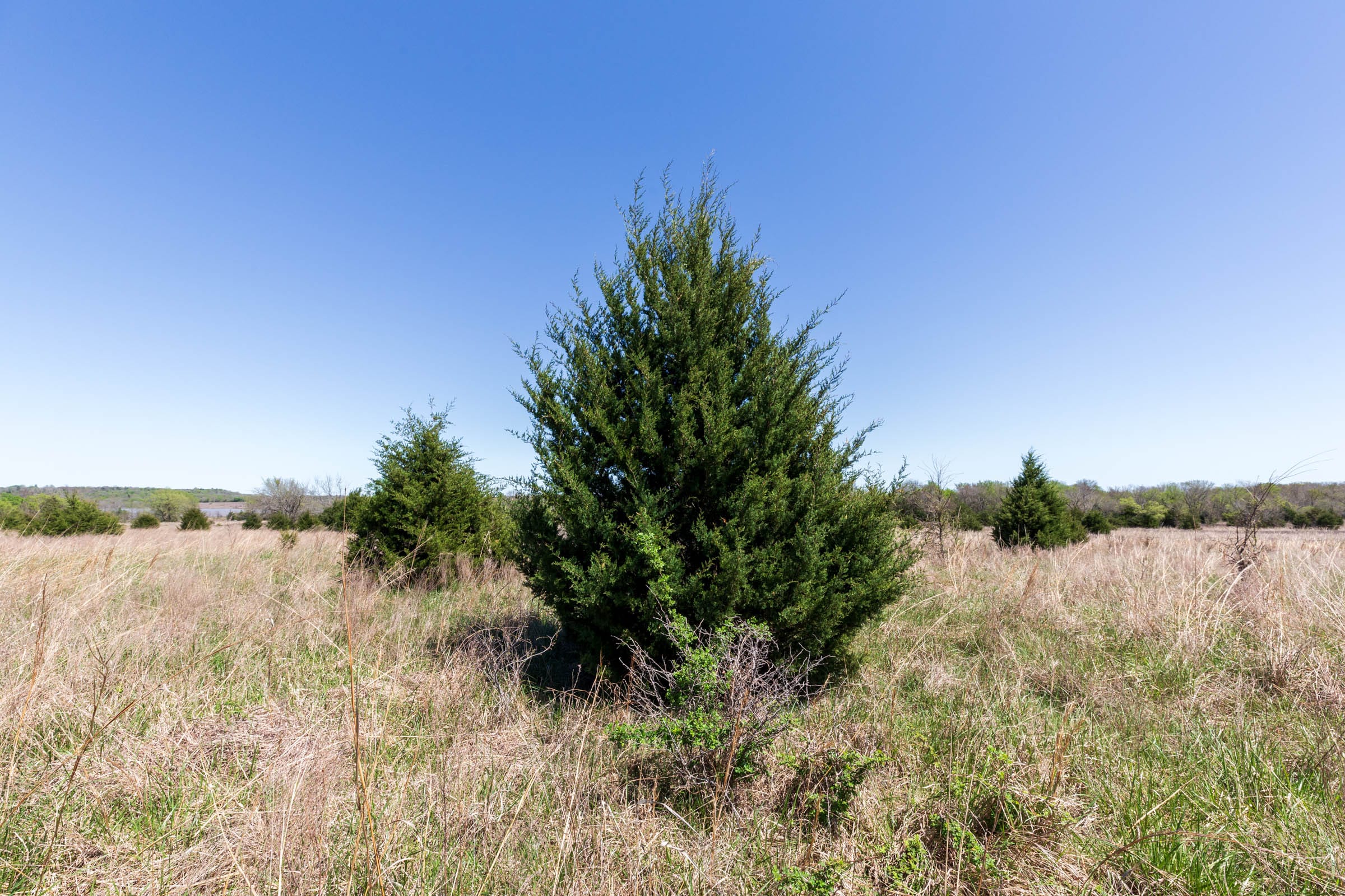 Prairie Grove Tract 25 photo 7