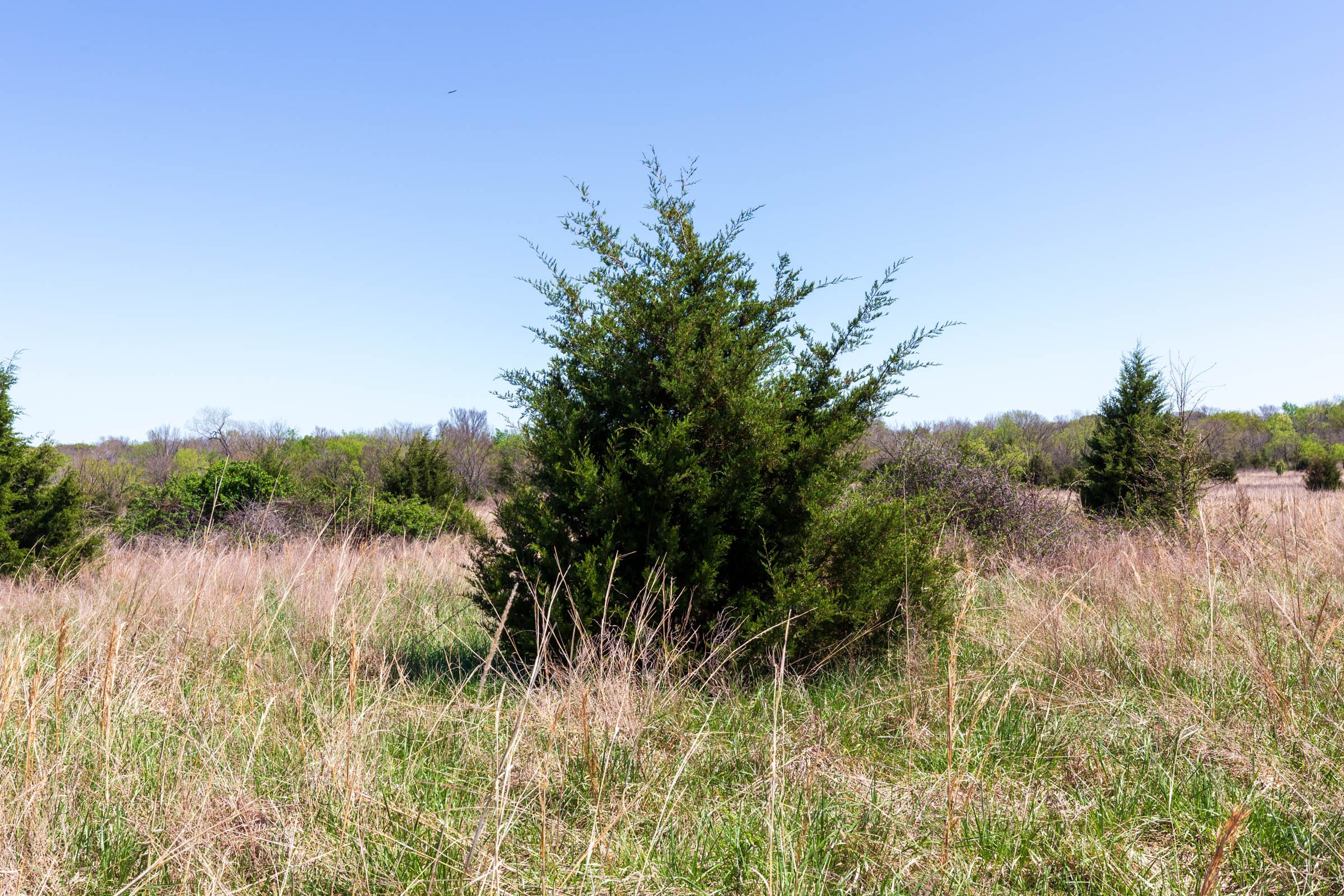 Prairie Grove Tract 25 photo 14