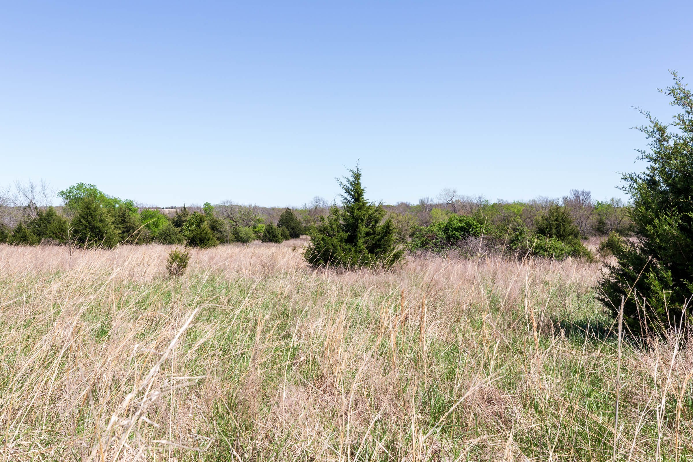 Prairie Grove Tract 25 photo 9