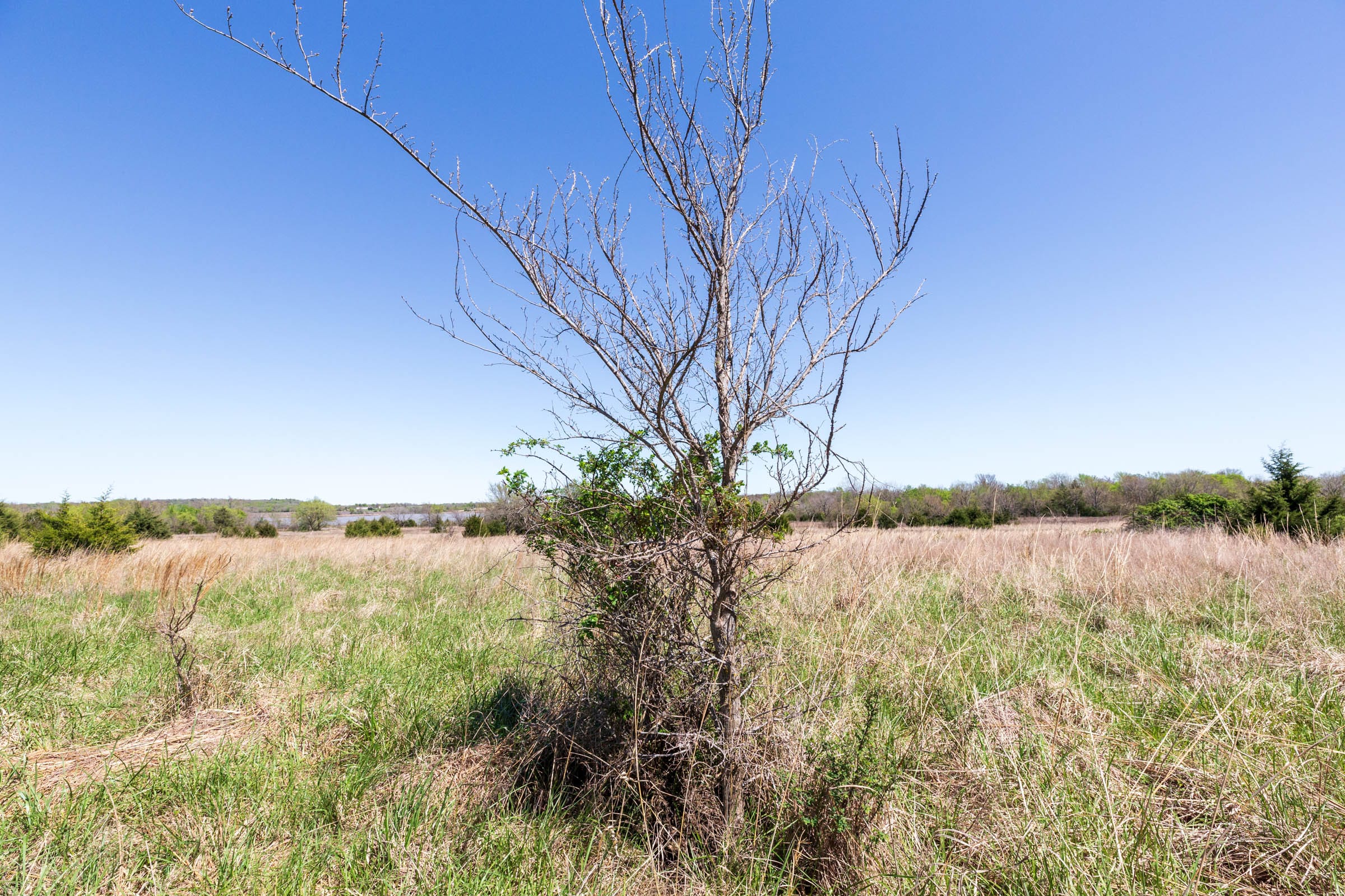 Prairie Grove Tract 25 photo 6