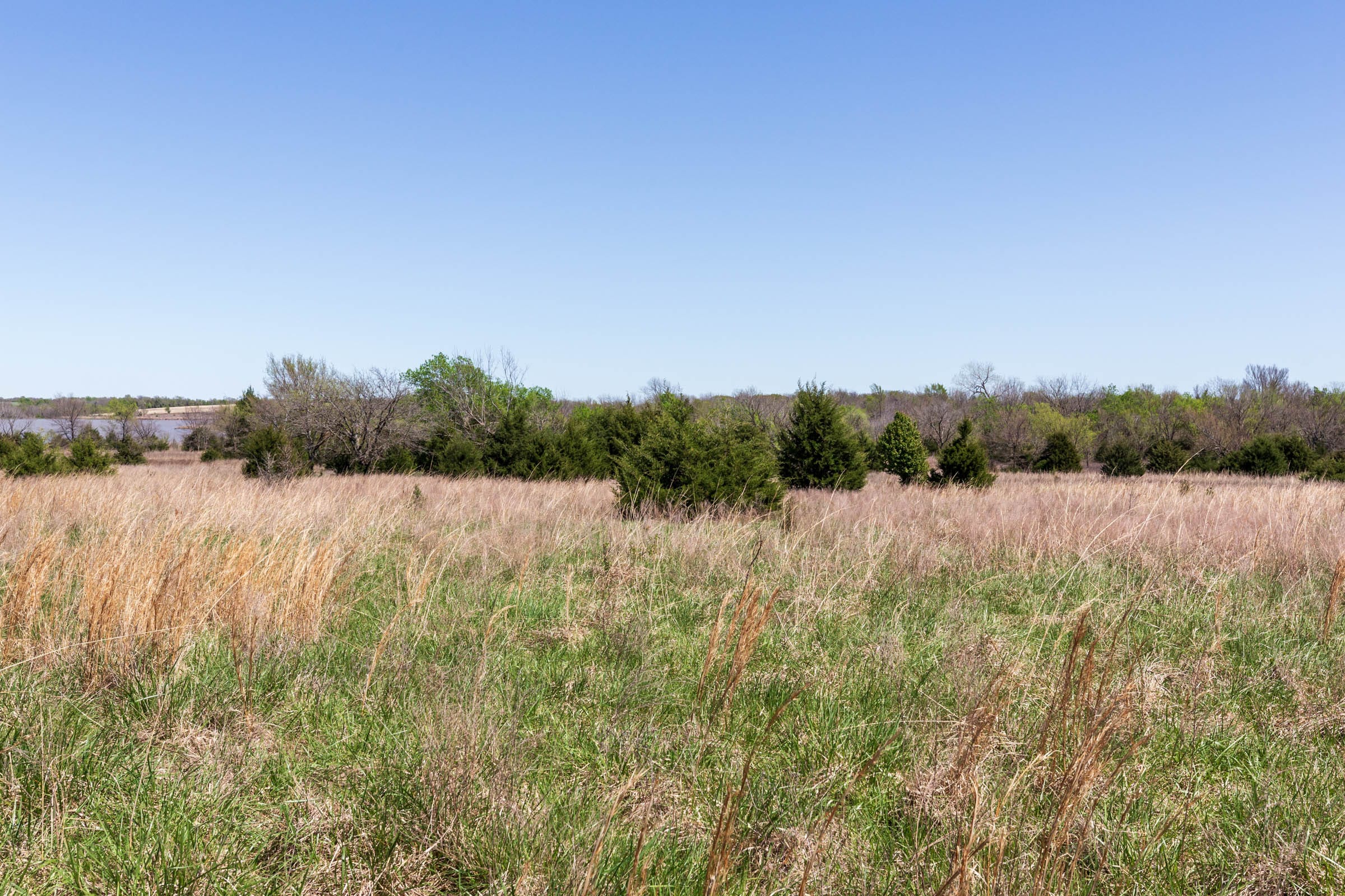 Prairie Grove Tract 25 photo 11