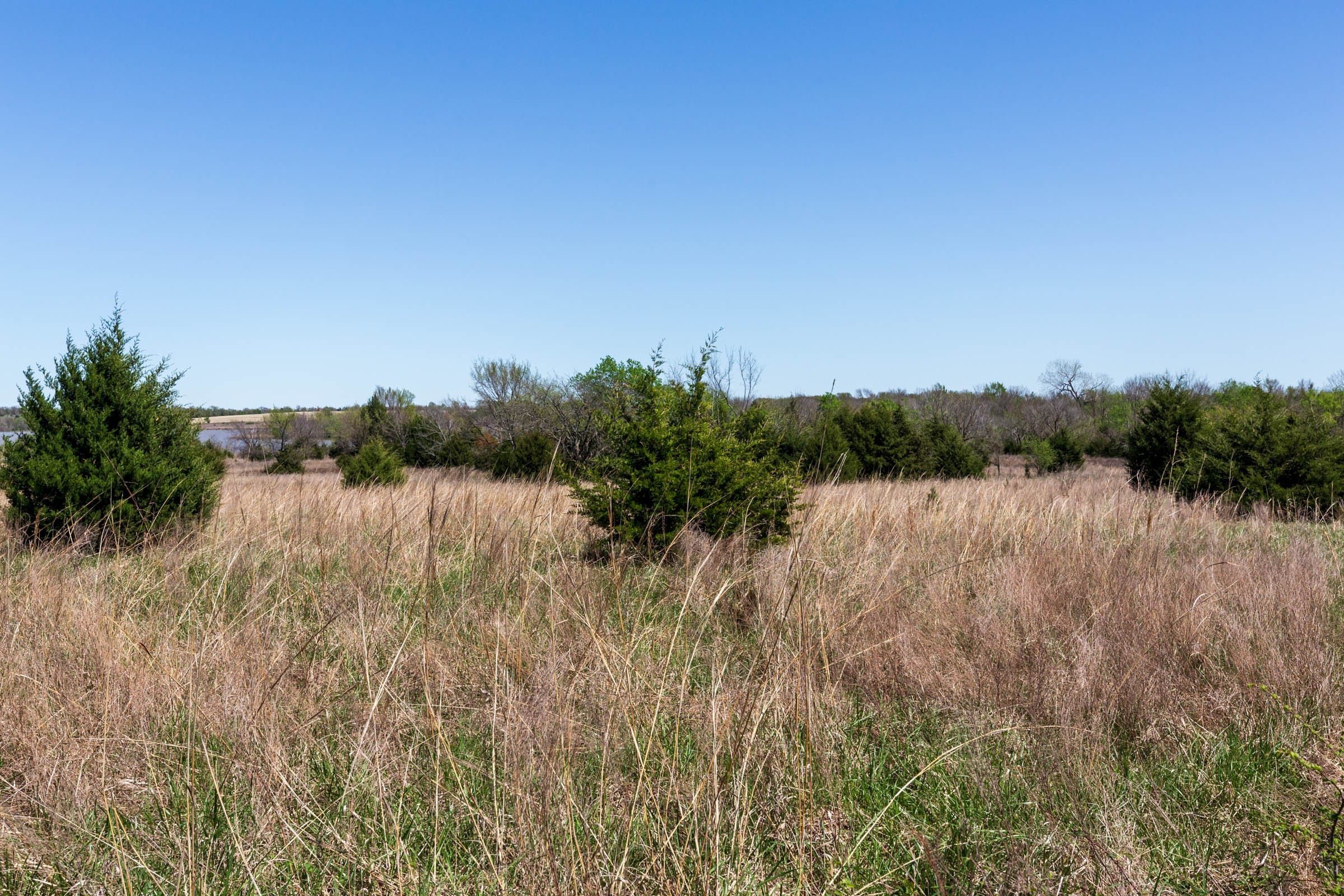 Prairie Grove Tract 25 photo 15
