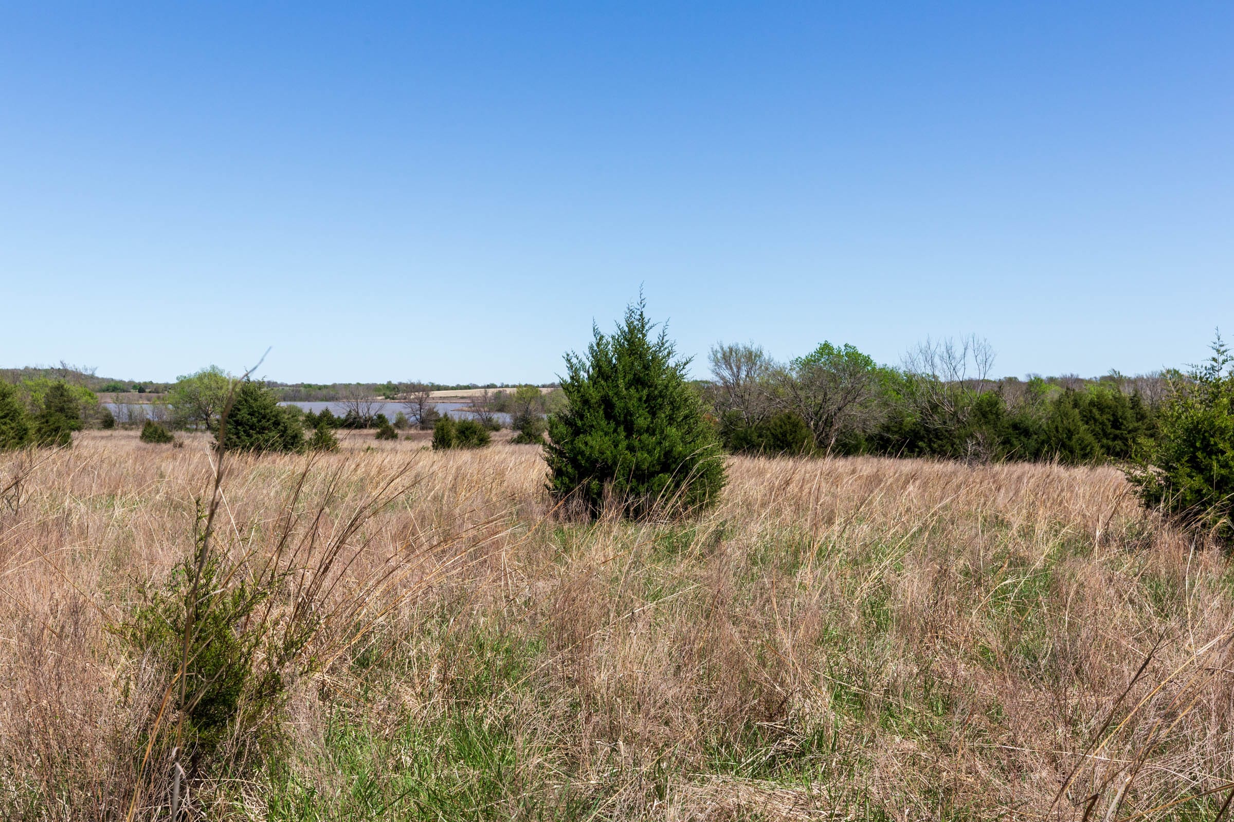 Prairie Grove Tract 25 photo 17