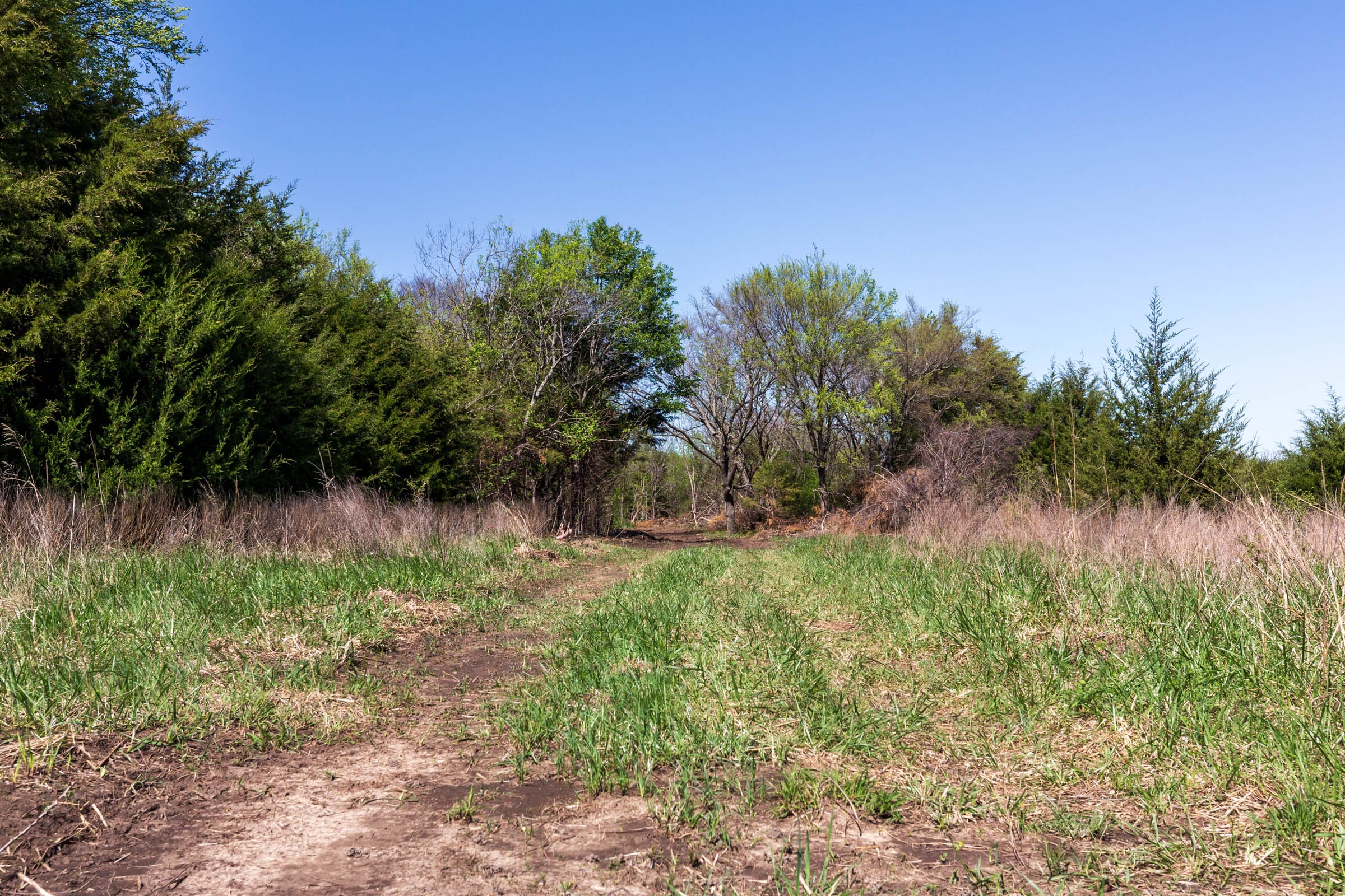 Prairie Grove Tract 25 photo 12