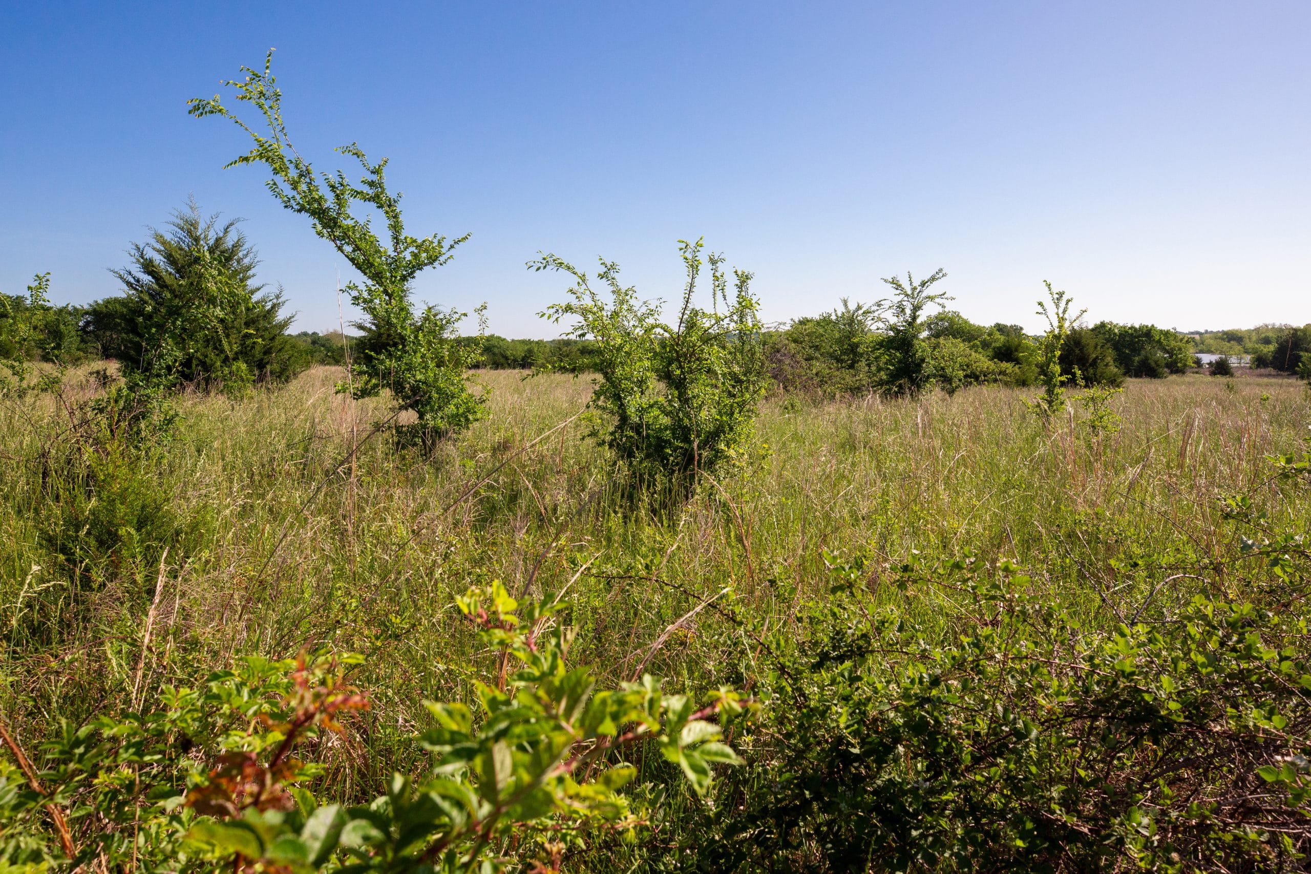 Prairie Grove Tract 25 photo 16