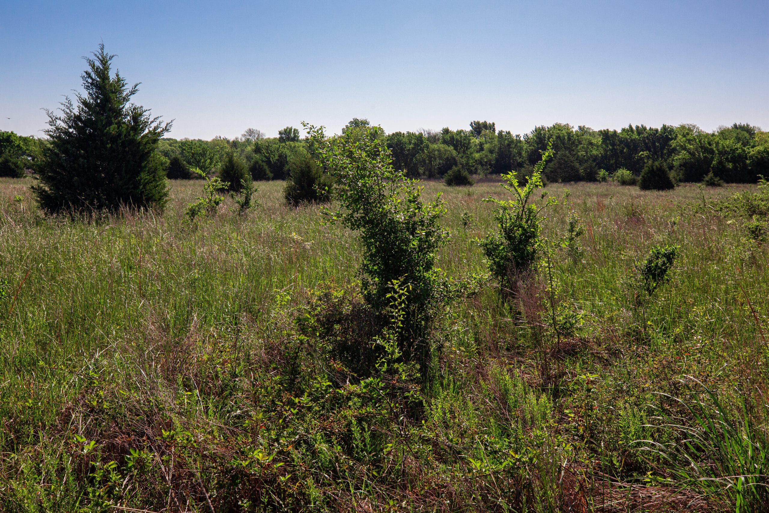 Prairie Grove Tract 25 photo 8