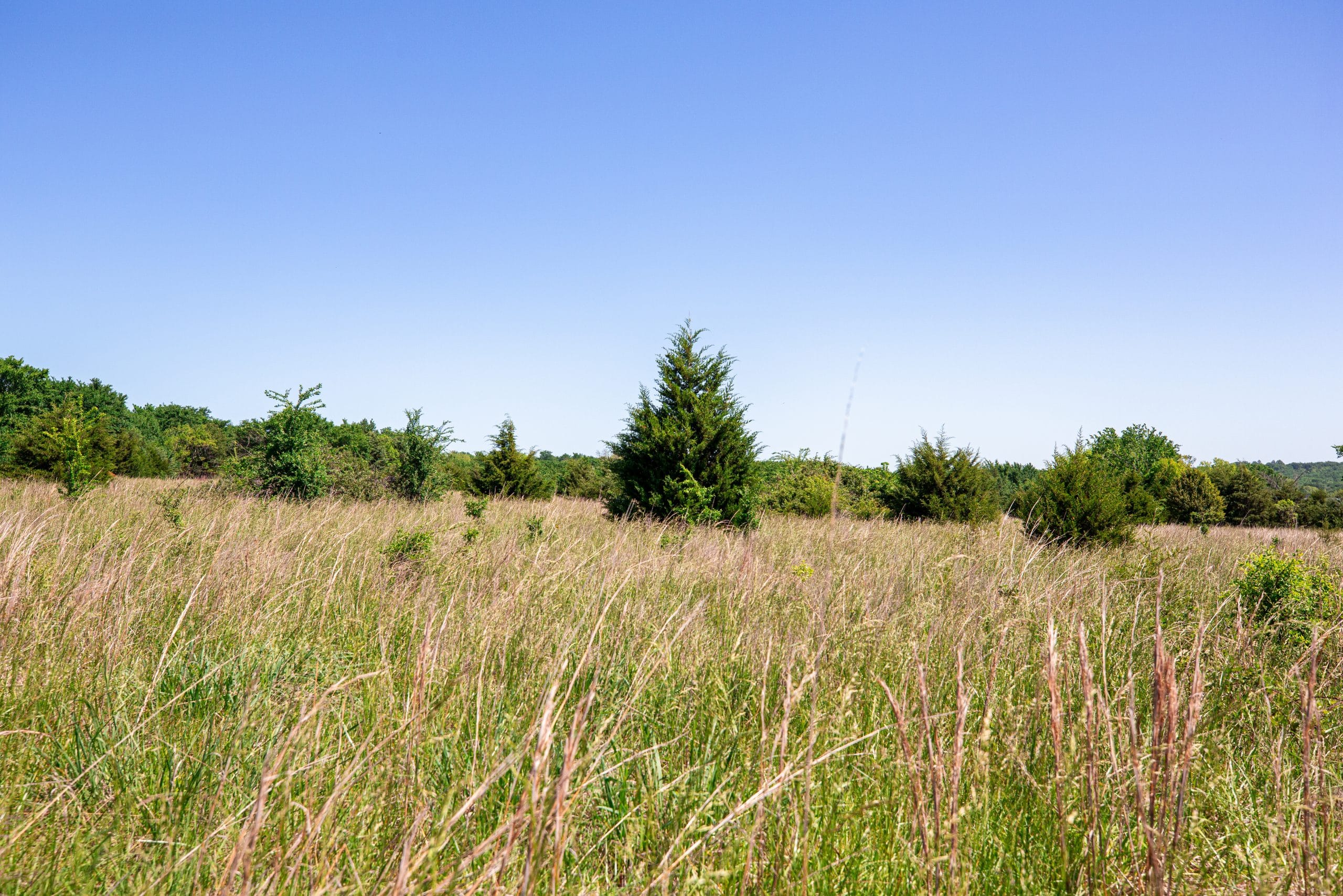 Prairie Grove Tract 25 photo 5