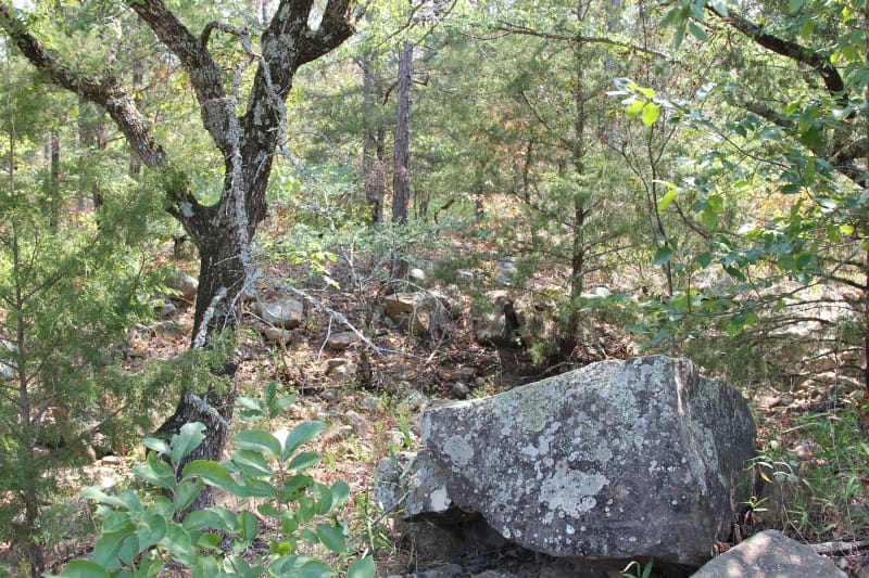 Lake View Ranch Tract 7 photo 1