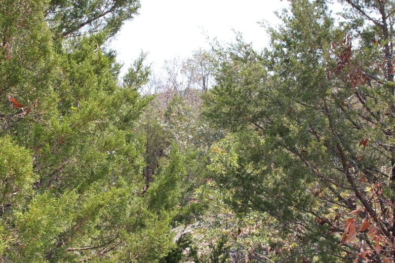 Lake View Ranch Tract 7 photo 2