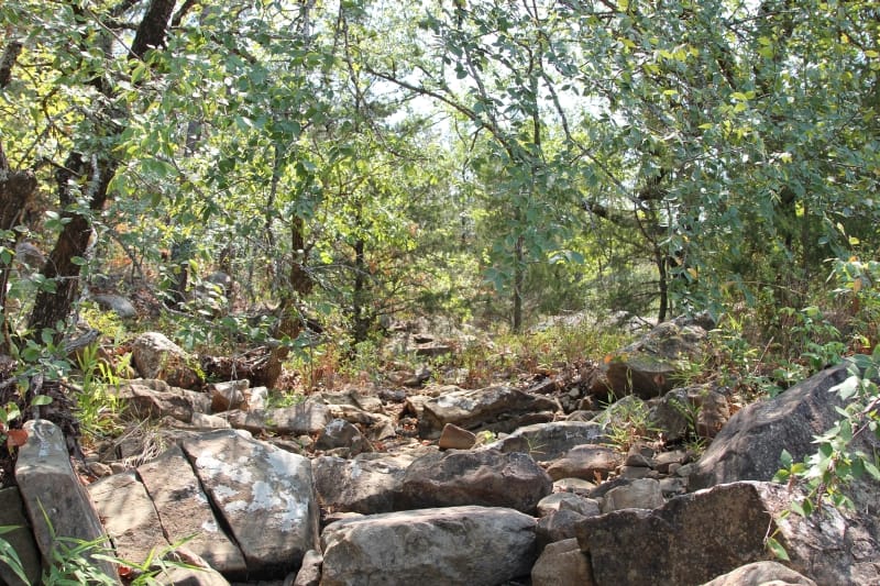 Lake View Ranch Tract 7 photo 3