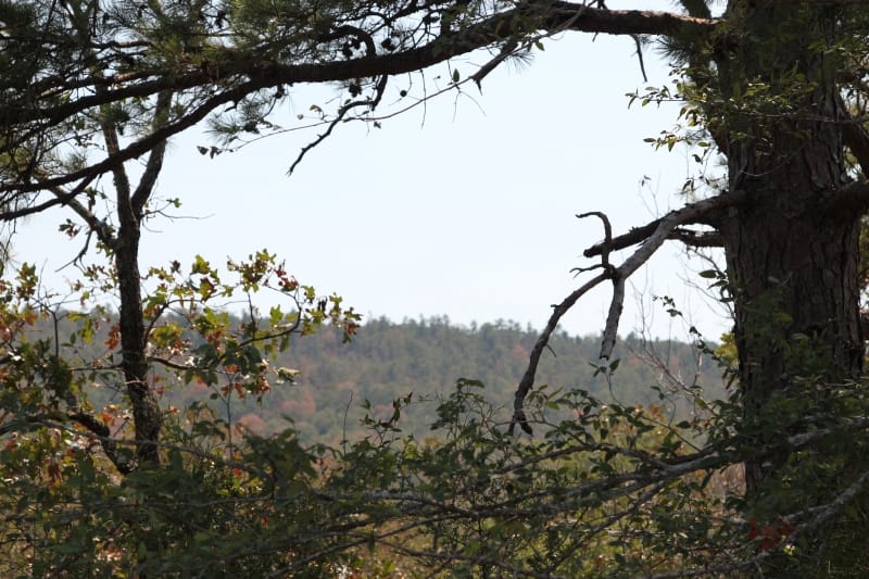 Lake View Ranch Tract 7 photo 4