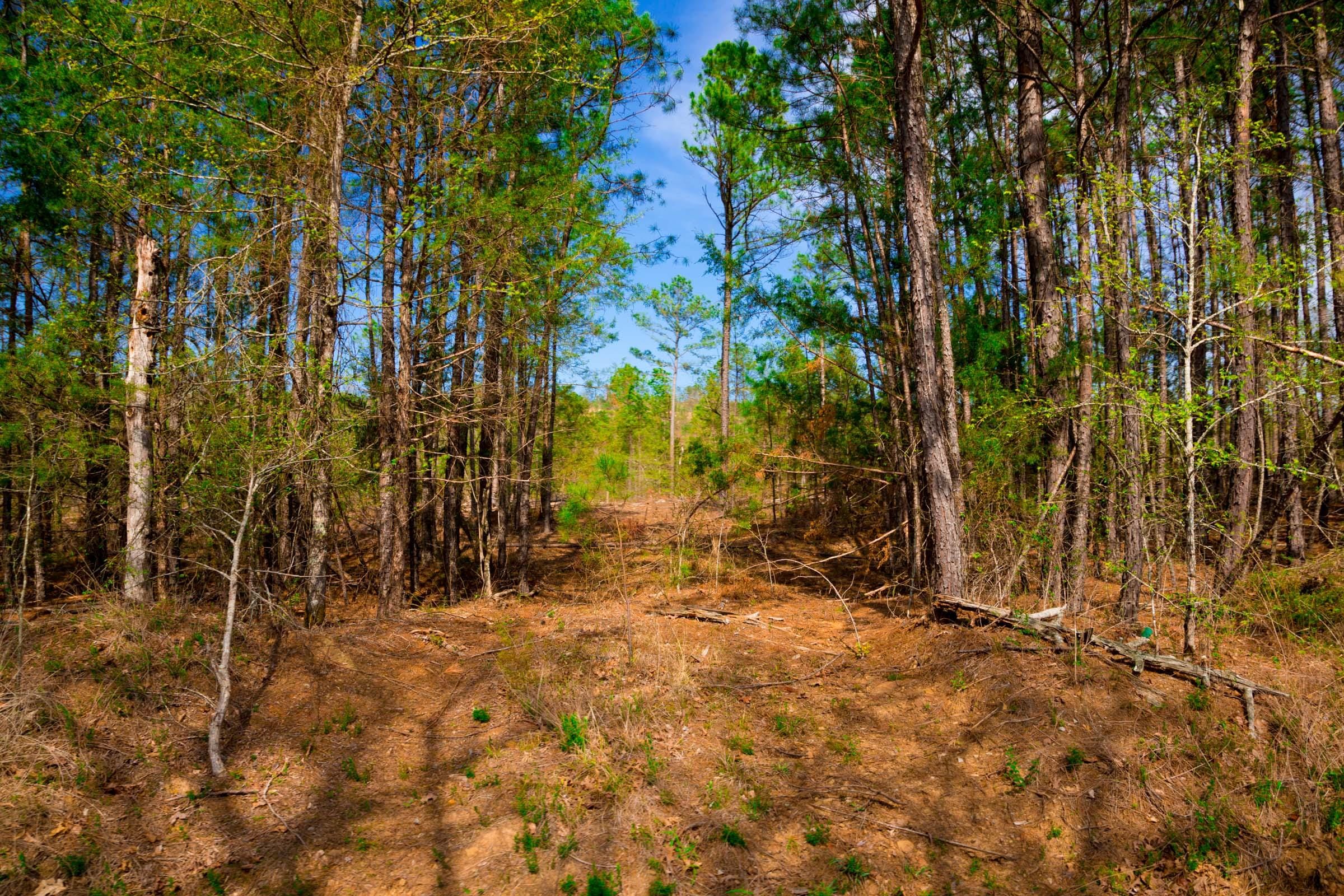 Stone Creek Phase II Tract 258 photo 2