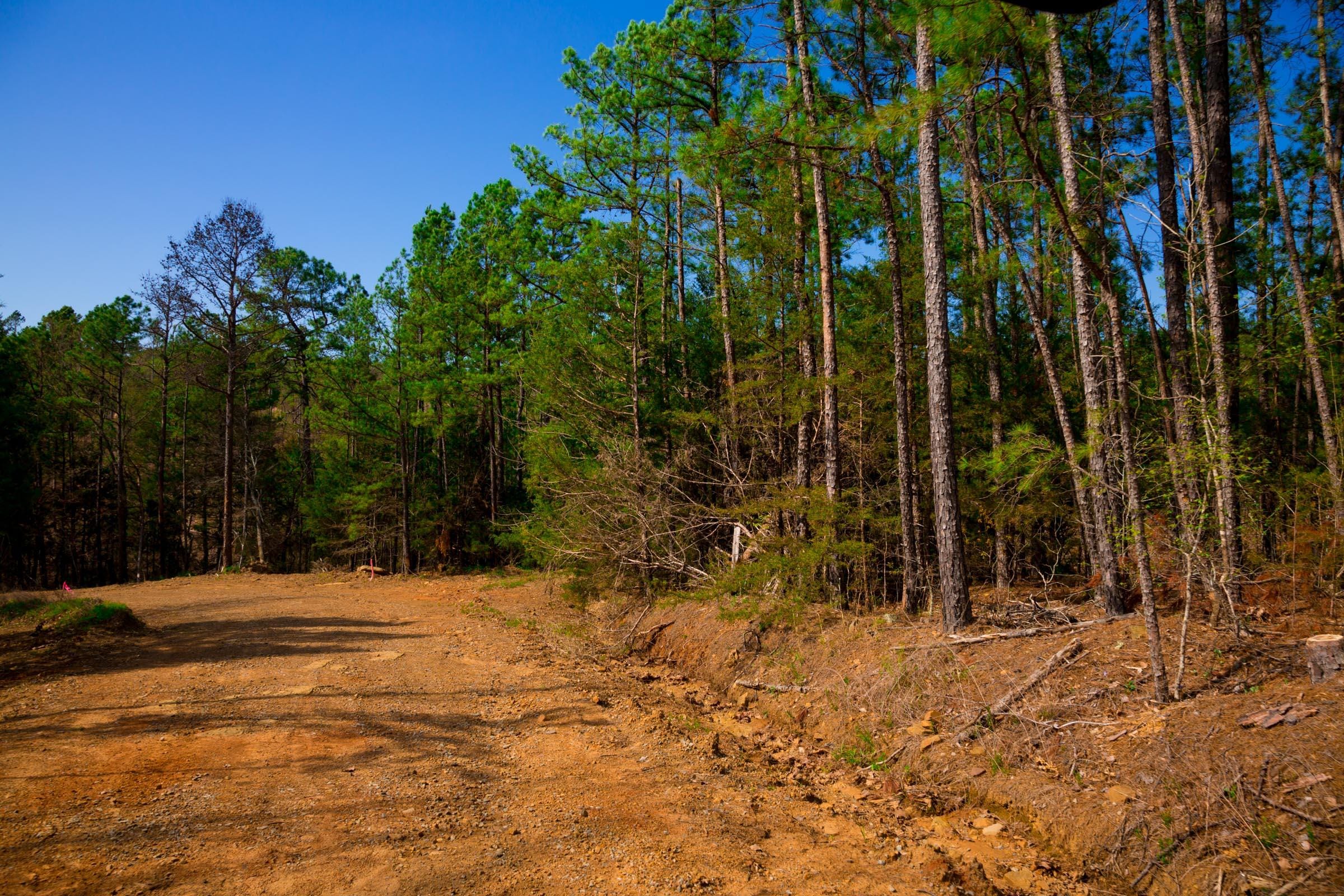 Stone Creek Phase II Tract 258 photo 6