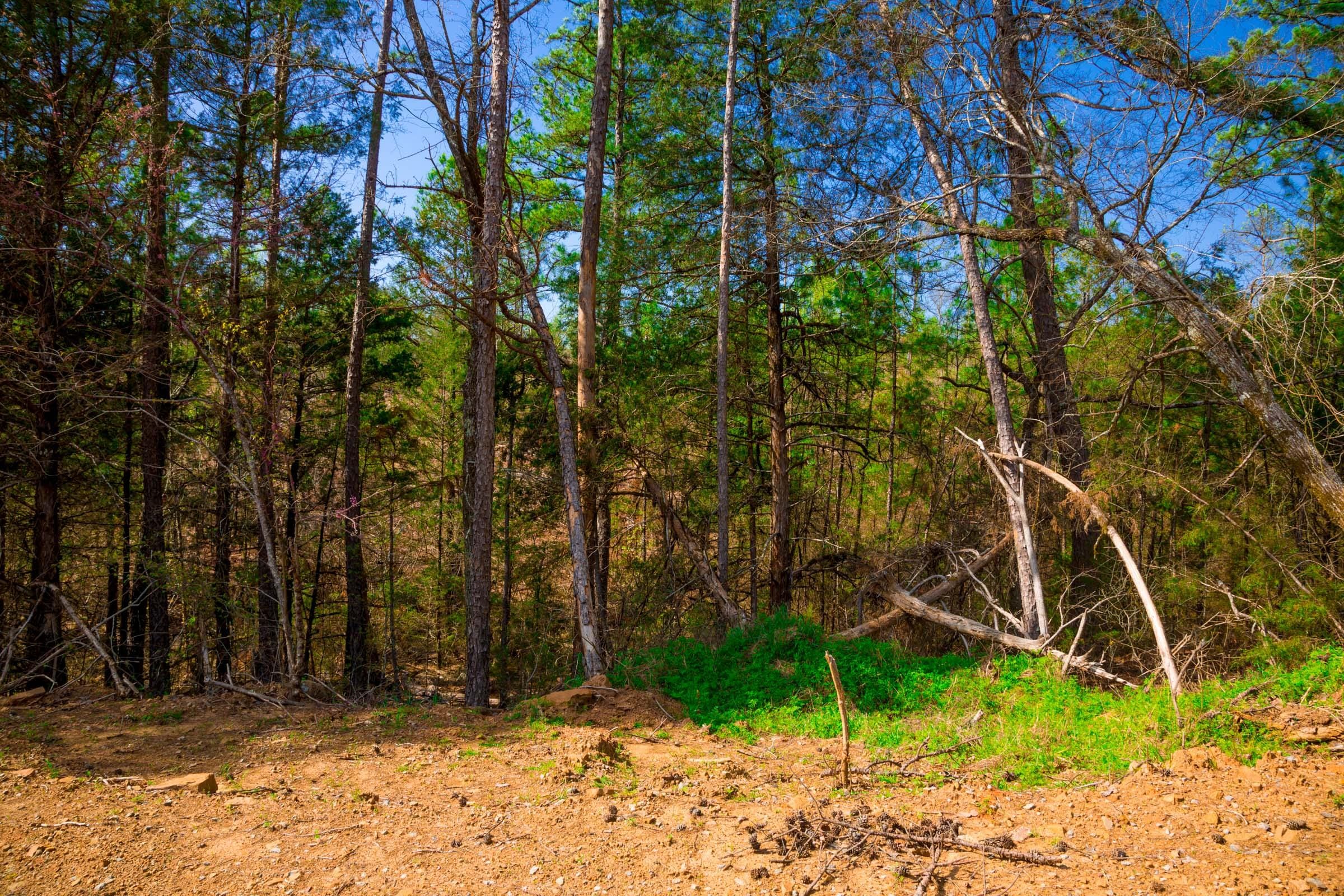 Stone Creek Phase II Tract 258 photo 8