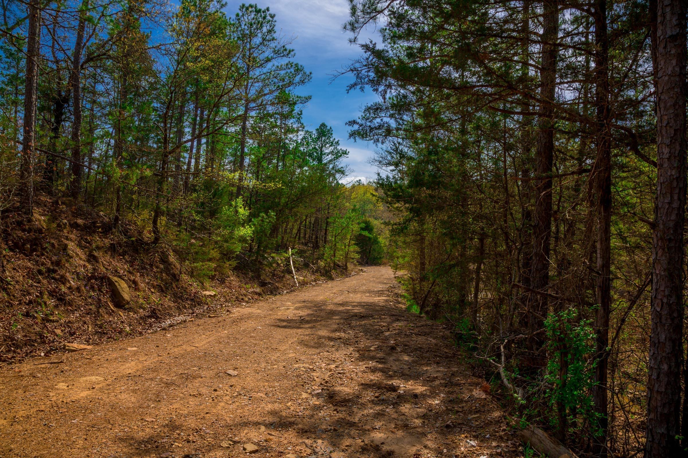 Stone Creek Phase II Tract 258 photo 9
