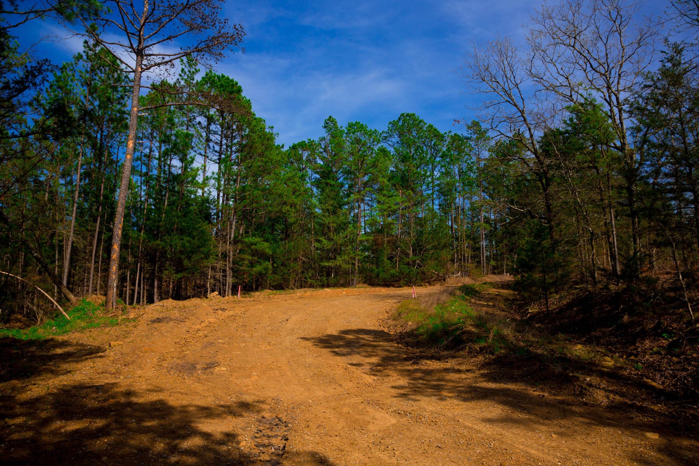 Stone Creek Phase II Tract 258 photo 12