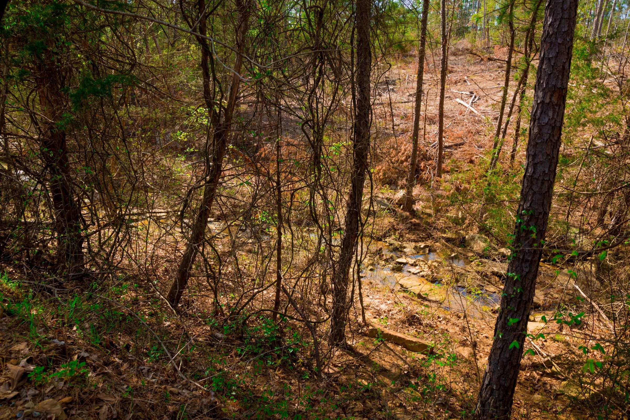Stone Creek Phase II Tract 258 photo 11